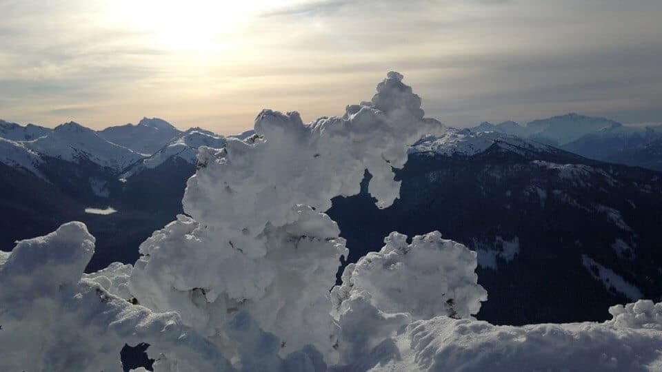 Schnee auf Bäumen in Whistler