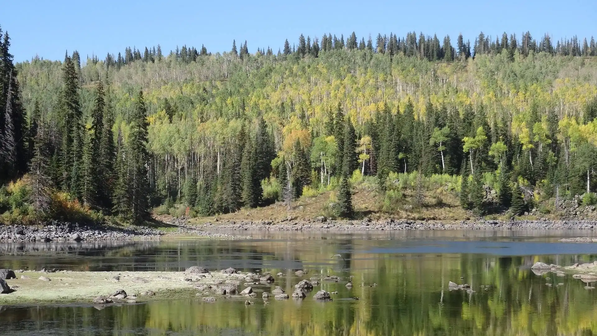 Ein kurzer Abstecher am Grand Mesa.