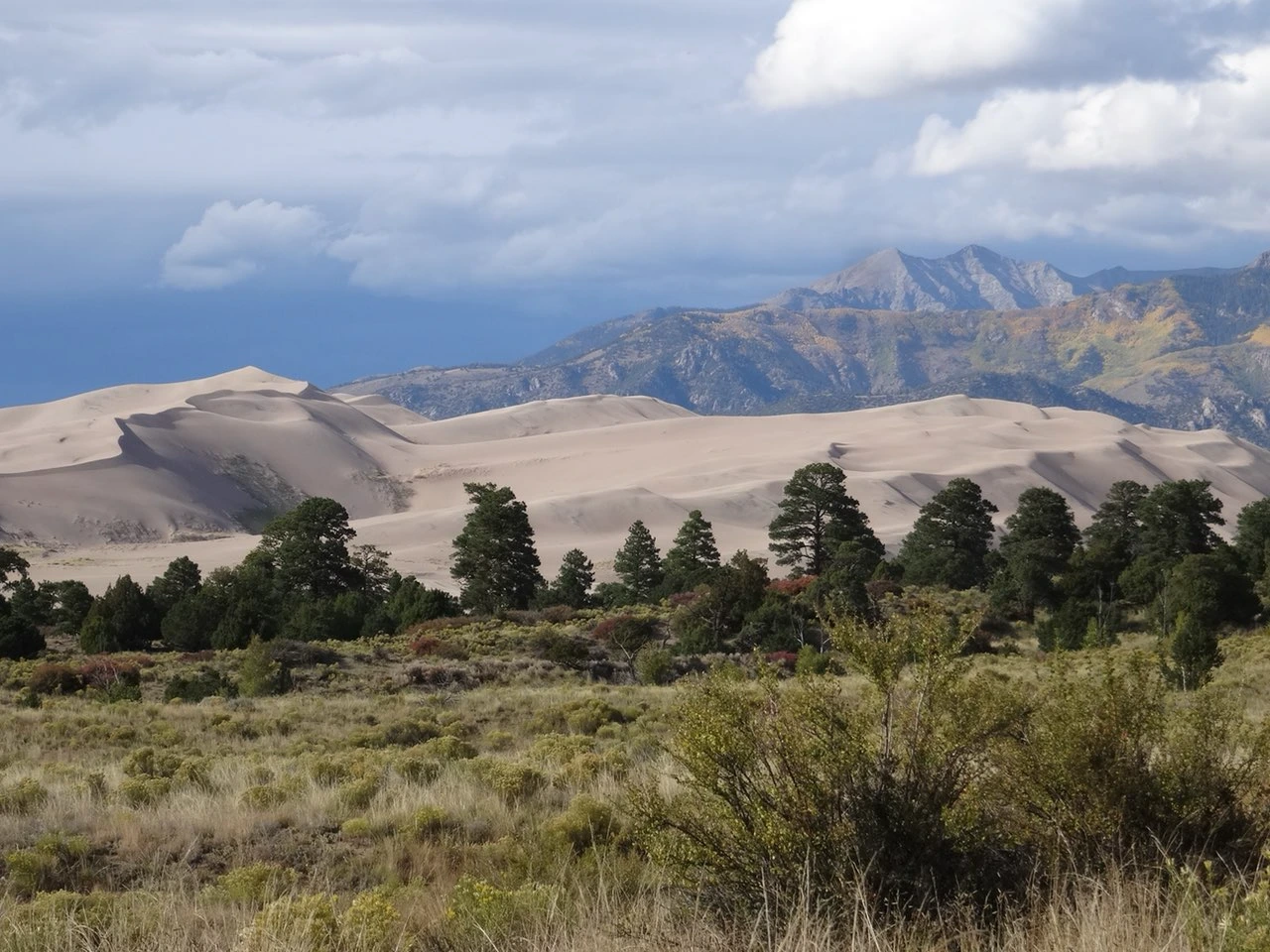 Panorama der Great Sanddunes.