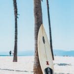 Weißes Surfbrett gegen eine Palme gelehnt am Strand.