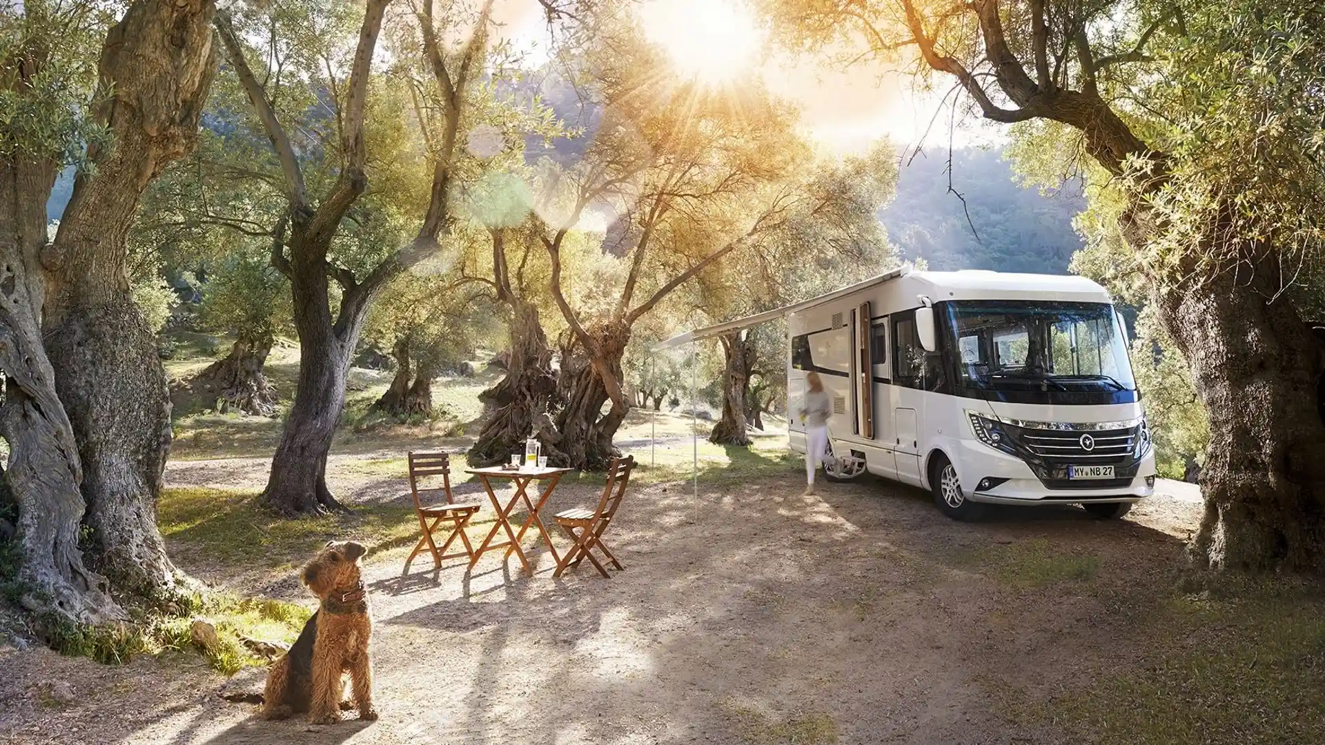 Ein großes Wohnmobil steht auf einem Campground unter Bäumen.