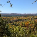 Ausblick auf einen Wald im Osten Kanadas