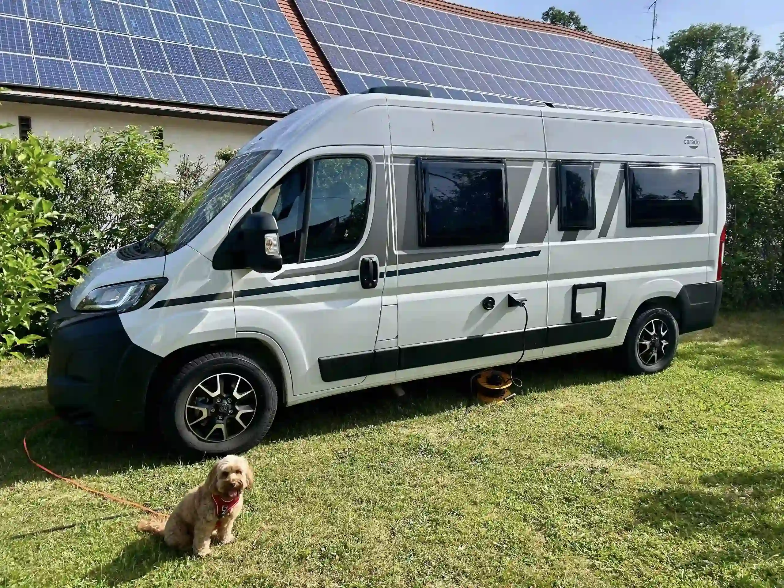 Ein weißes Wohnmobil stehend auf einer grünen Rasenfläche mit einem im Vordergrund sitzenden Hund.