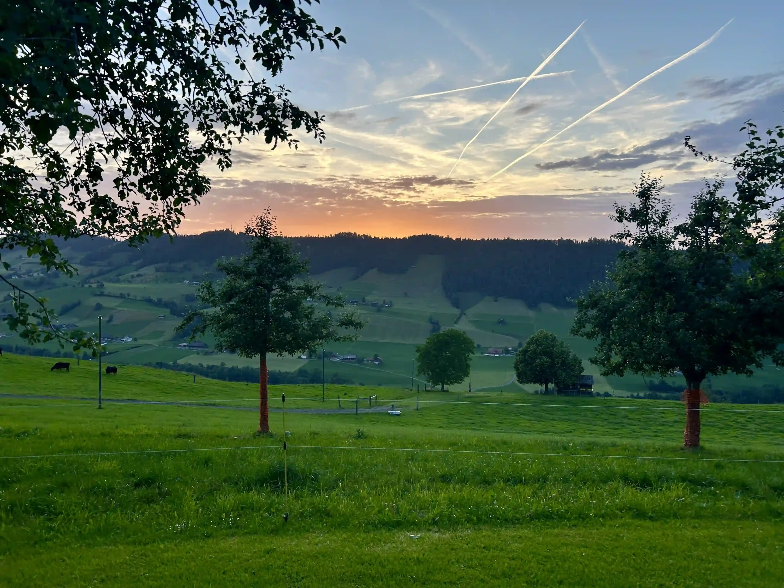 Die Sonne geht vor einer durch weitlaufende Wiesen gekennzeichneten Landschaft unter.