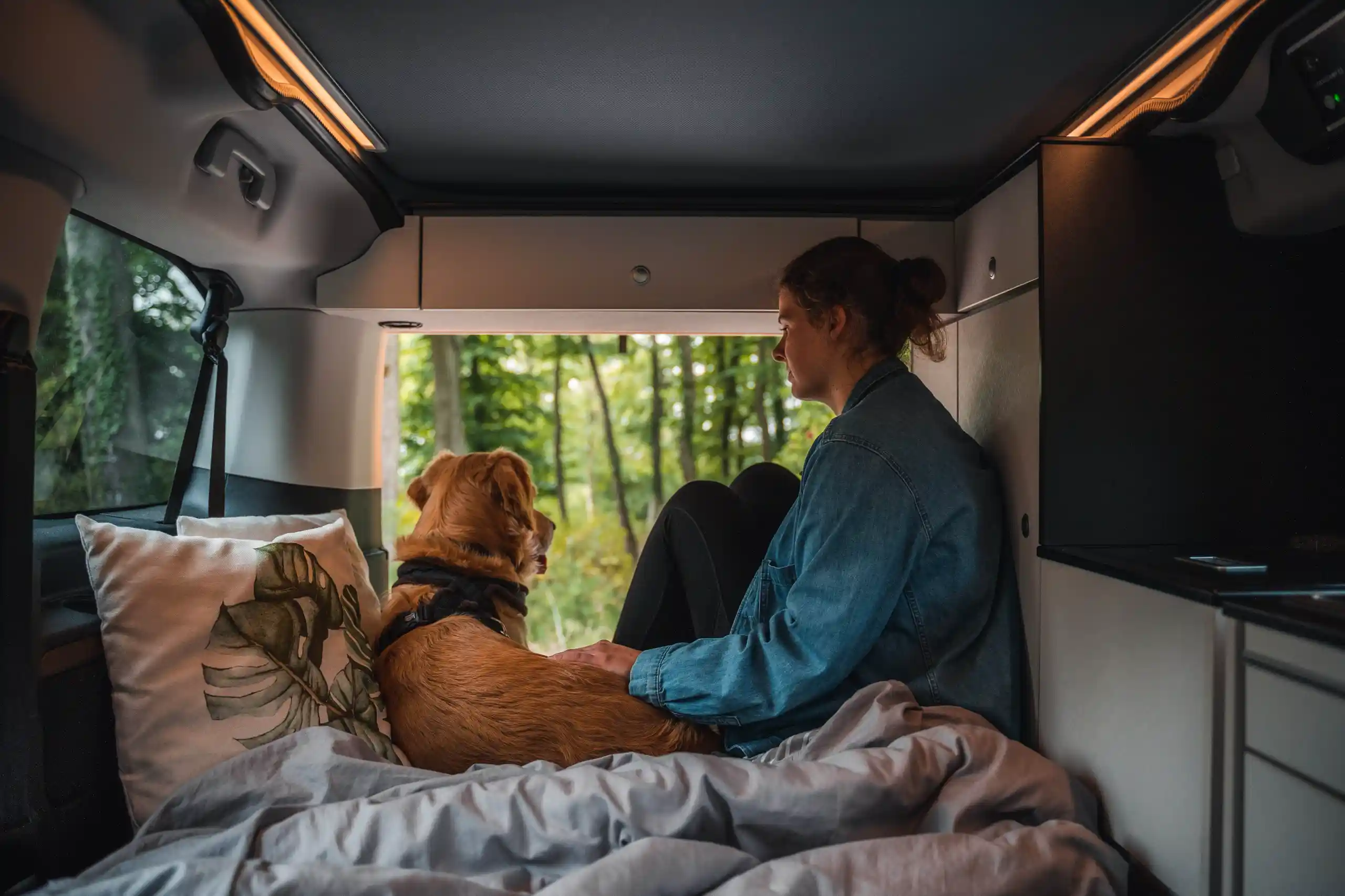 Hund Im Wohnmobil Transportieren