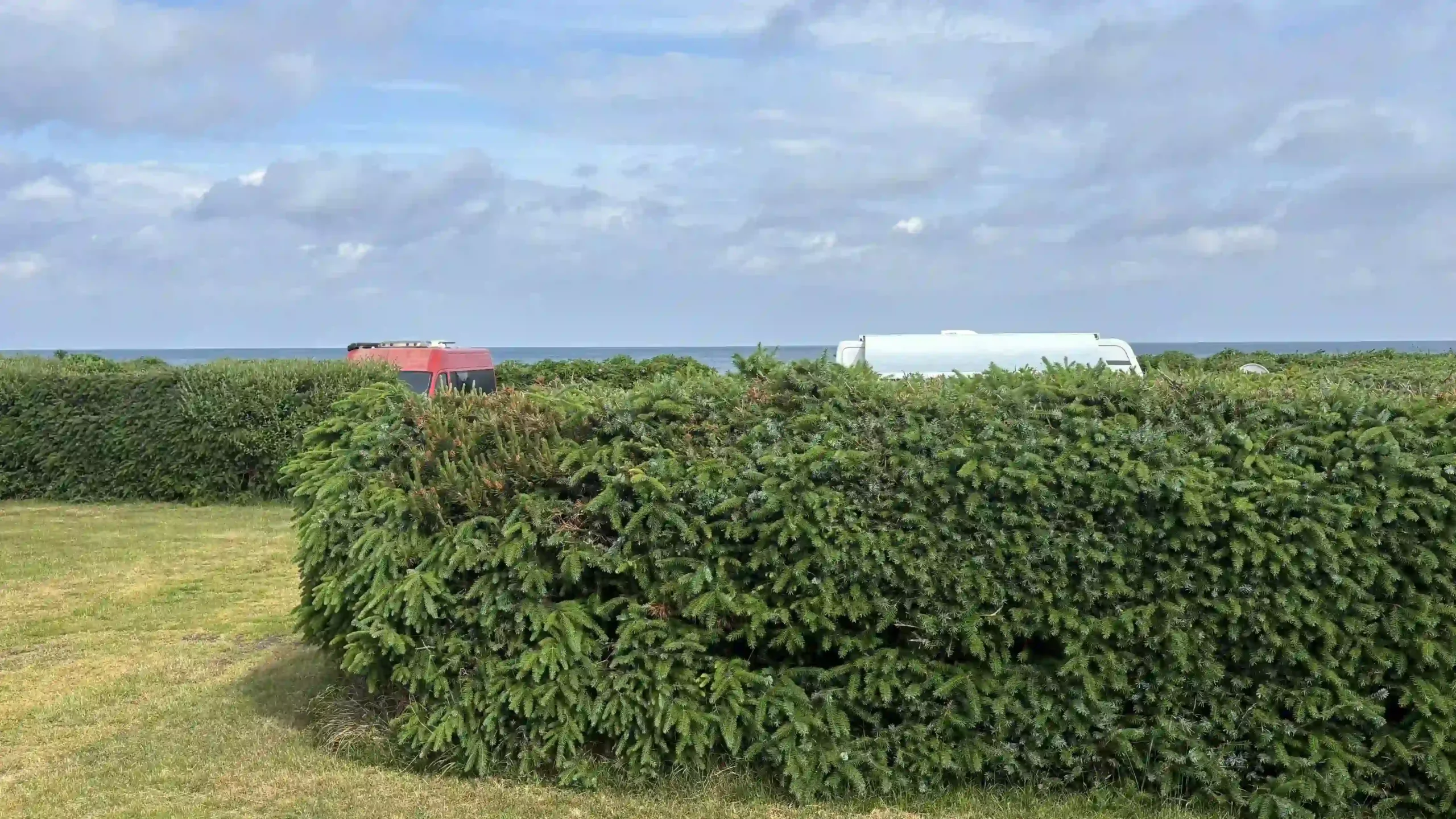 Nahaufnahme einer dichten, grünen Hecke im Vordergrund, hinter der die Dächer eines roten und eines weißen Campingfahrzeugs zu sehen sind. Dahinter ist das Meer.