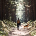 Eine Frau spaziert mit ihrem Hund im Darßer Urwald.