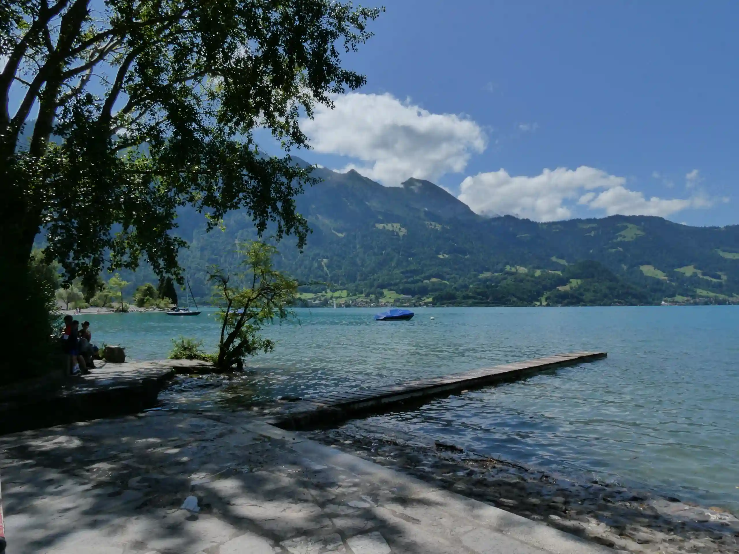Ein türkisfarbener See mit Bäumen und Bergen um ihn herum.