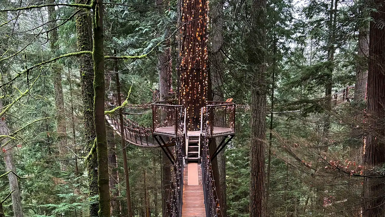 Beleuchtete Hängebrücken im Wald im Capilano Suspension Bridge Park nahe der Stadt Vancouver in British Columbia in Kanada.