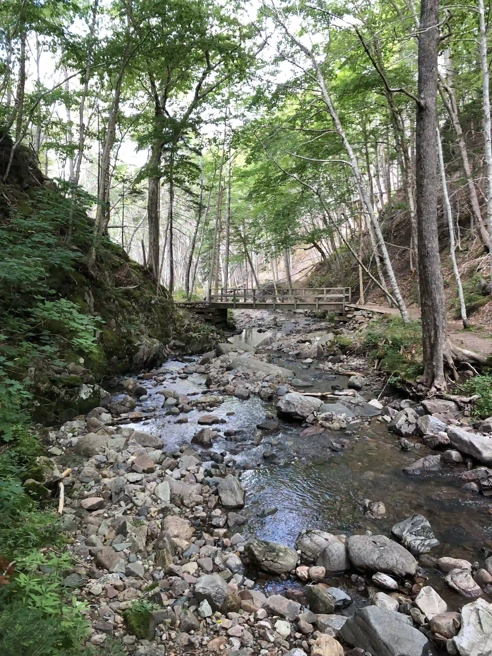 Eine Holzbrücke führt über einen idyllischen Bach.