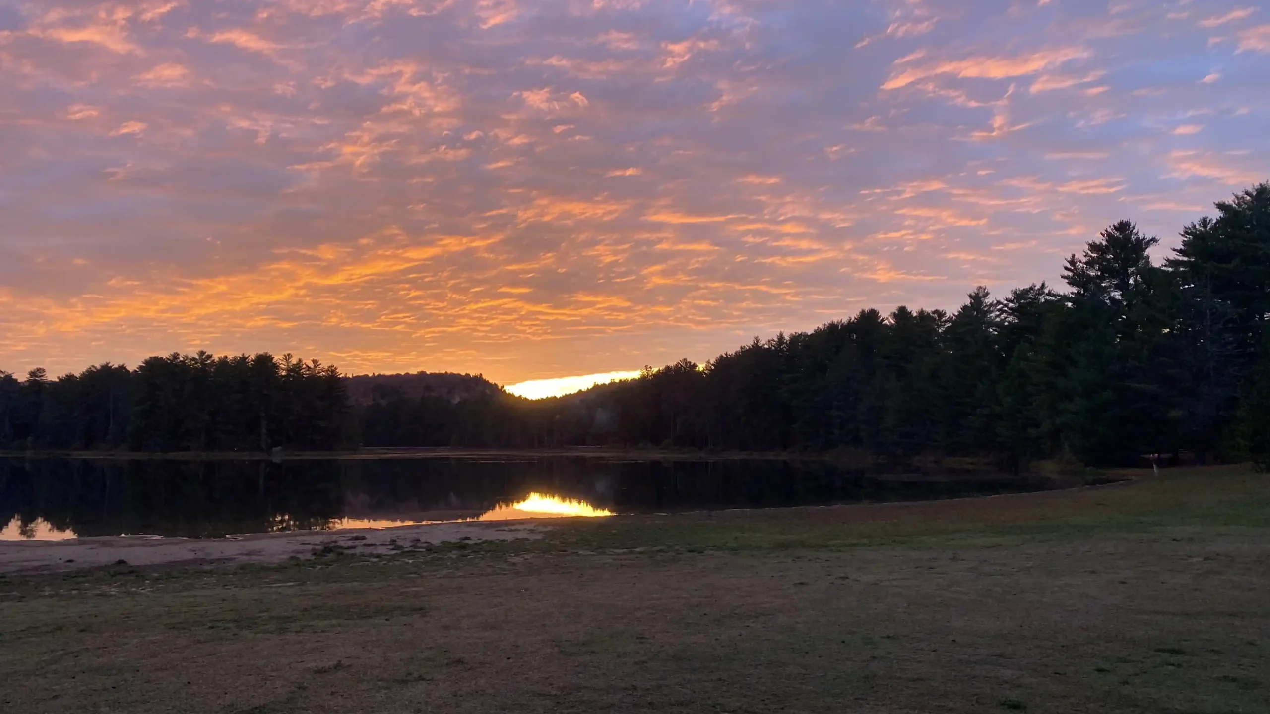 Das Wasser des Sees spiegelt den Himmel in Rosa- und Goldtönen, während über dem stillen Wald die Sonne aufgeht.