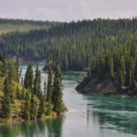 Der Yukon River fließt durch eine dichte, hügelige Nadelwaldlandschaft bei Whitehorse.