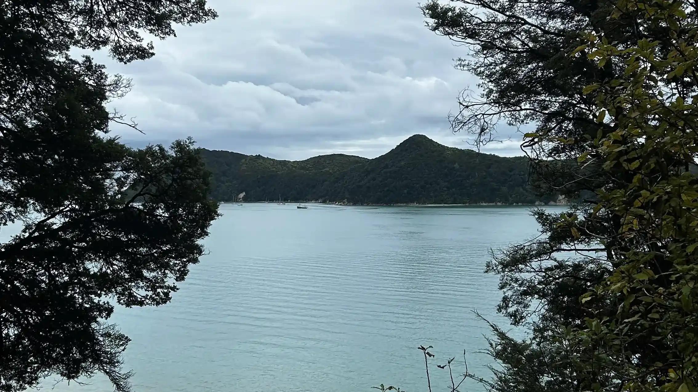 Ein natürliches Fenster aus Blättern rahmt den Blick auf das türkisblaue Wasser im Abel-Tasman-Nationalpark.
