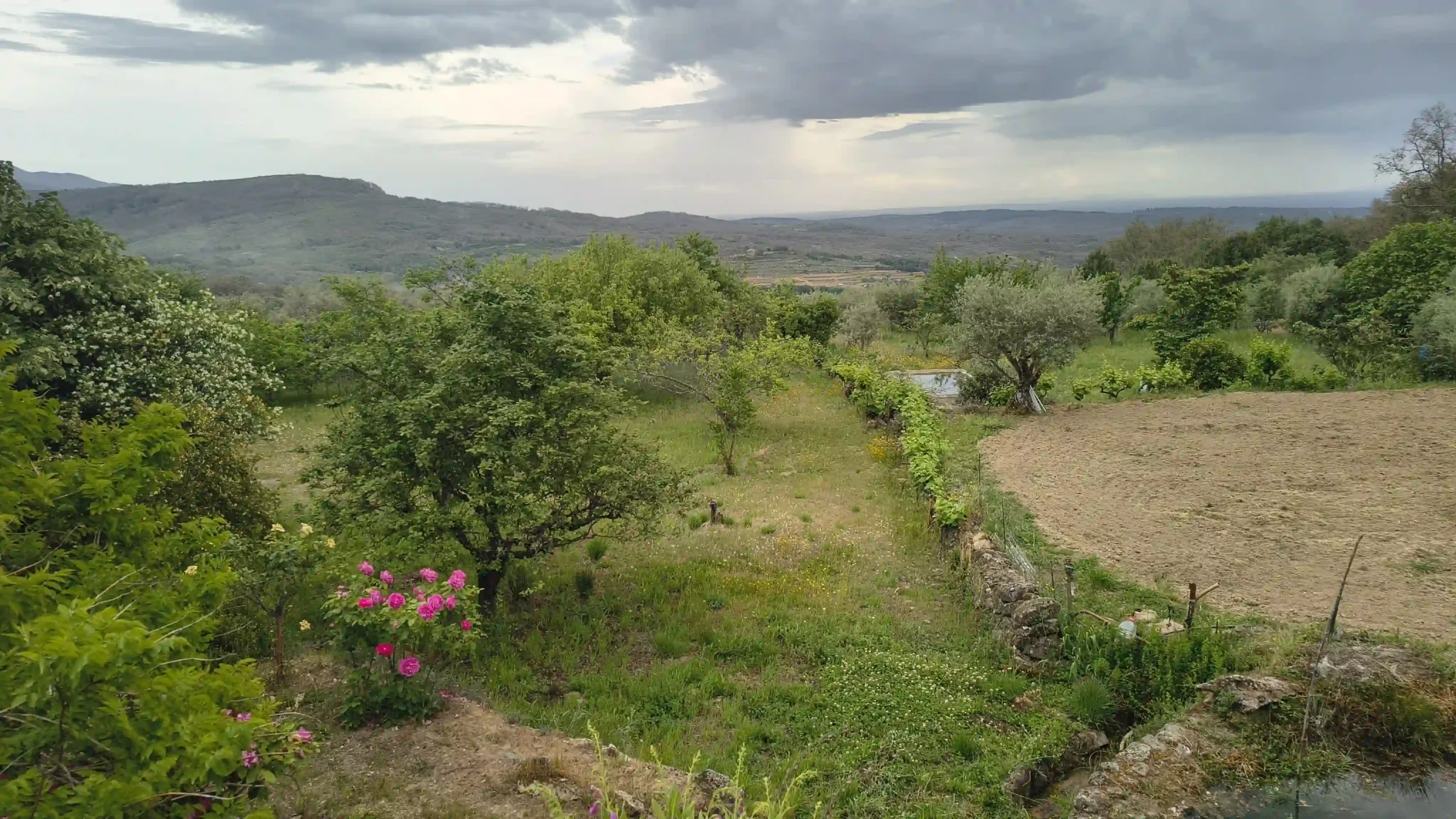 Eine grüne, hügelige Landschaft bei Cuacos de Yuste unter wolkenverhangenem Himmel.