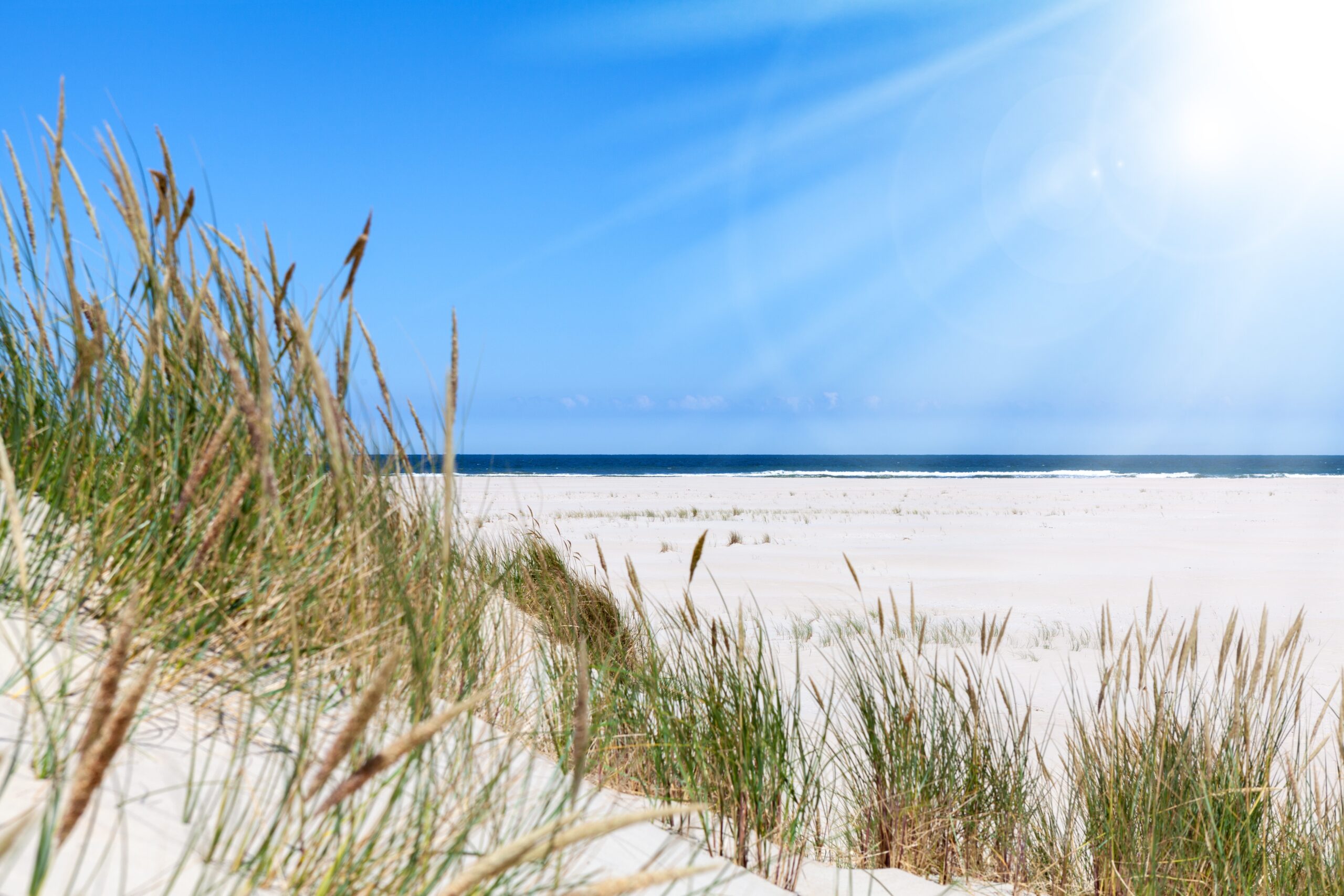 Eine Sanddüne auf der Norderney in der Nordsee.