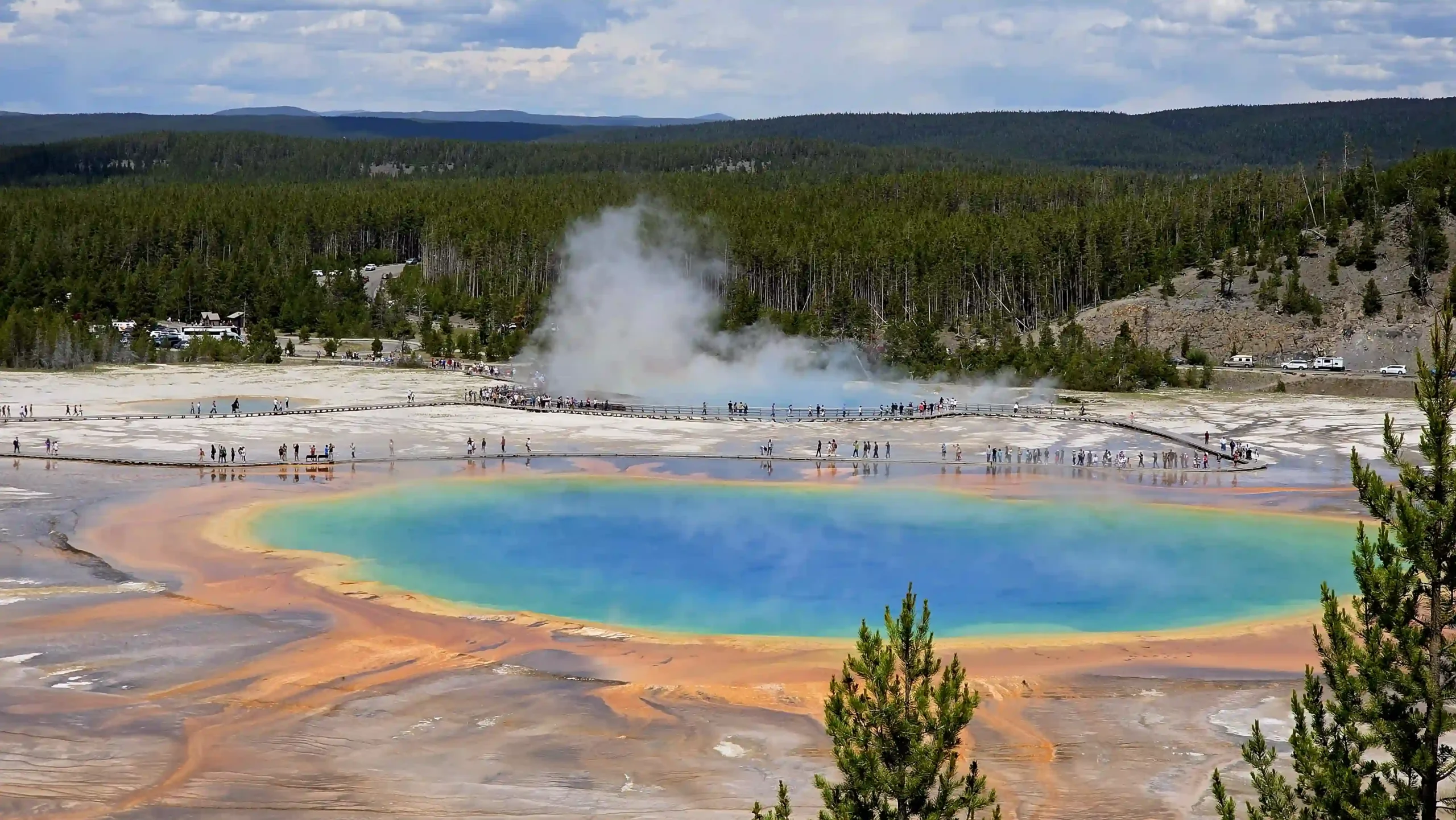Zu sehen ist ein kristallblauer, zum Rand türkis, gelb und orange farbig übergehender Hot Pool vor einem dicht bewachsenden, dunkelgrünen Wald am Horizont.