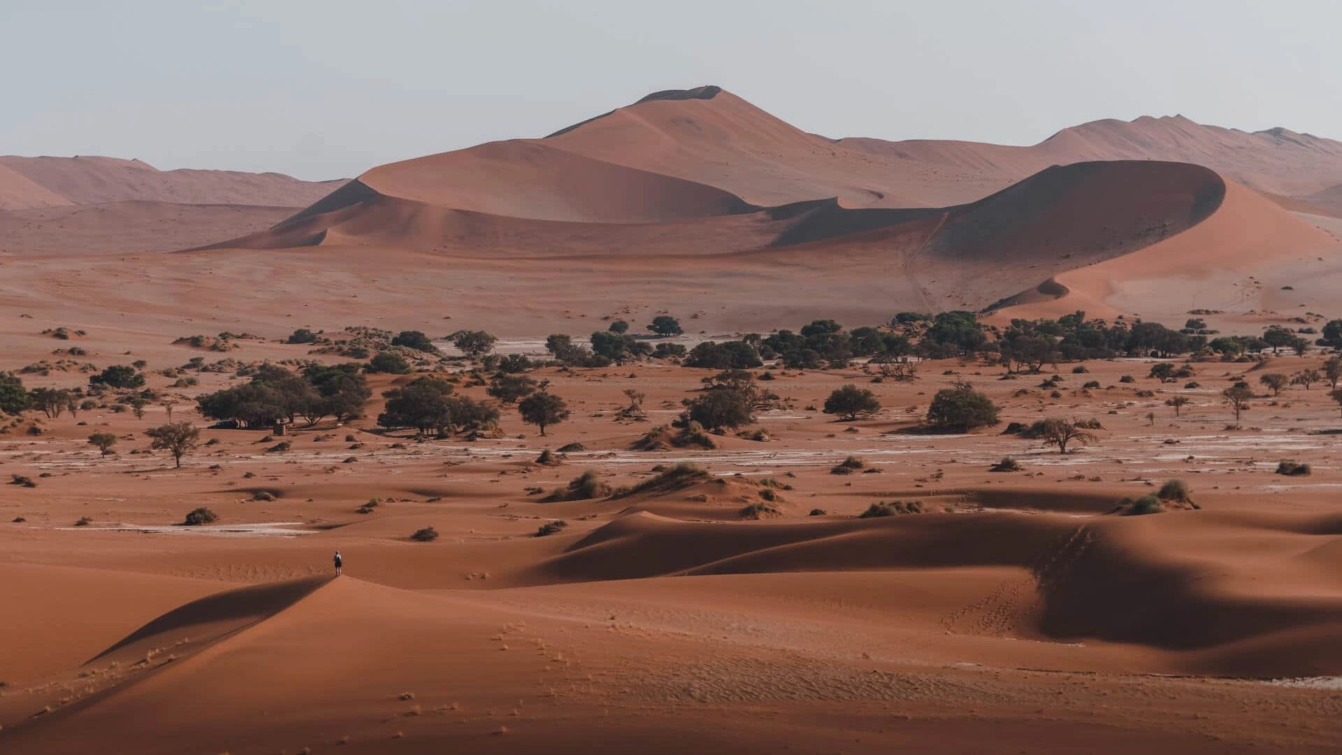 Desert in Namibia