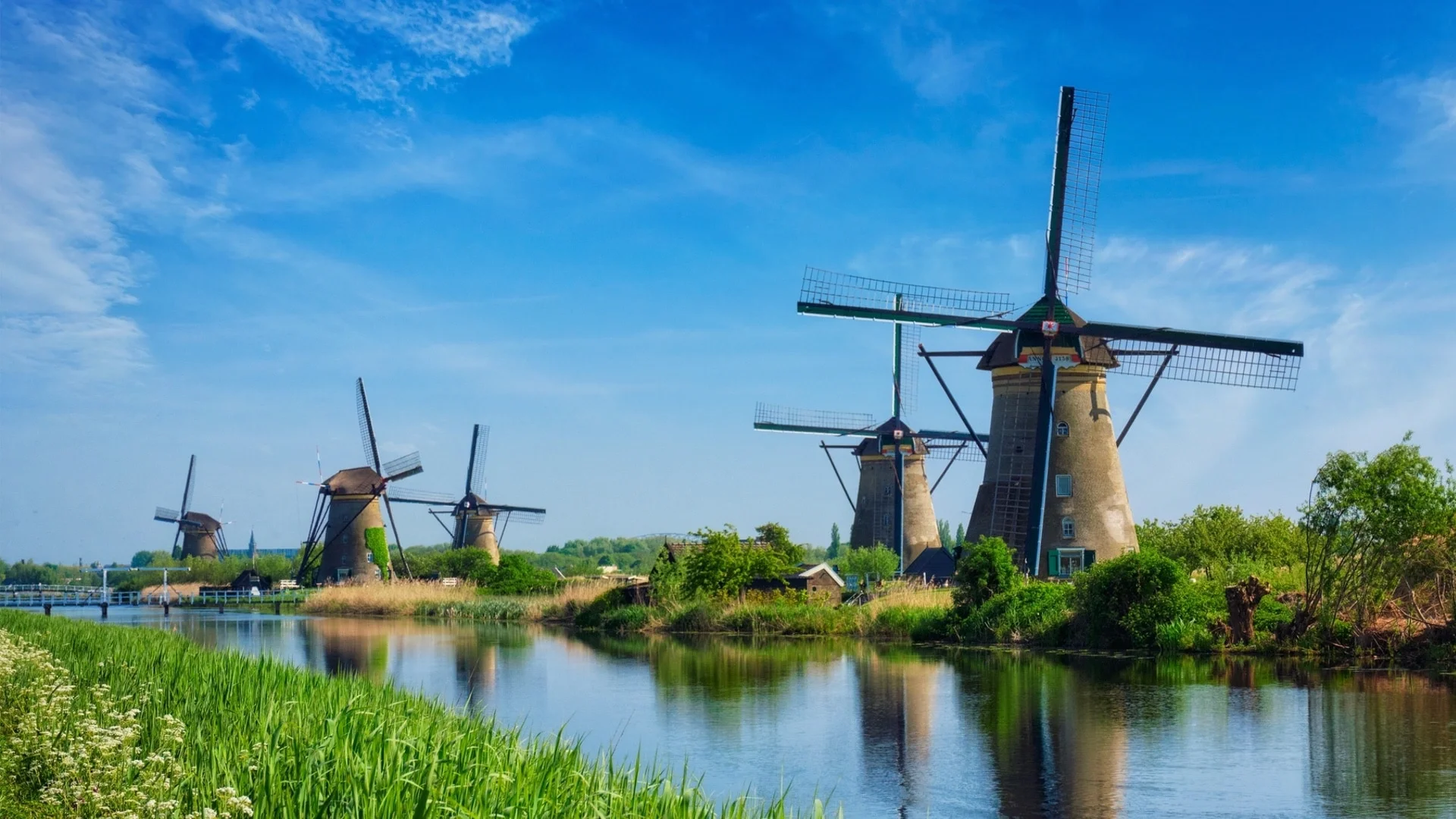 Windmills on the banks of a river