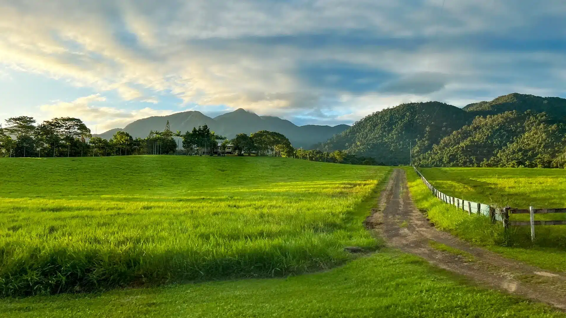 Green Queensland landscape