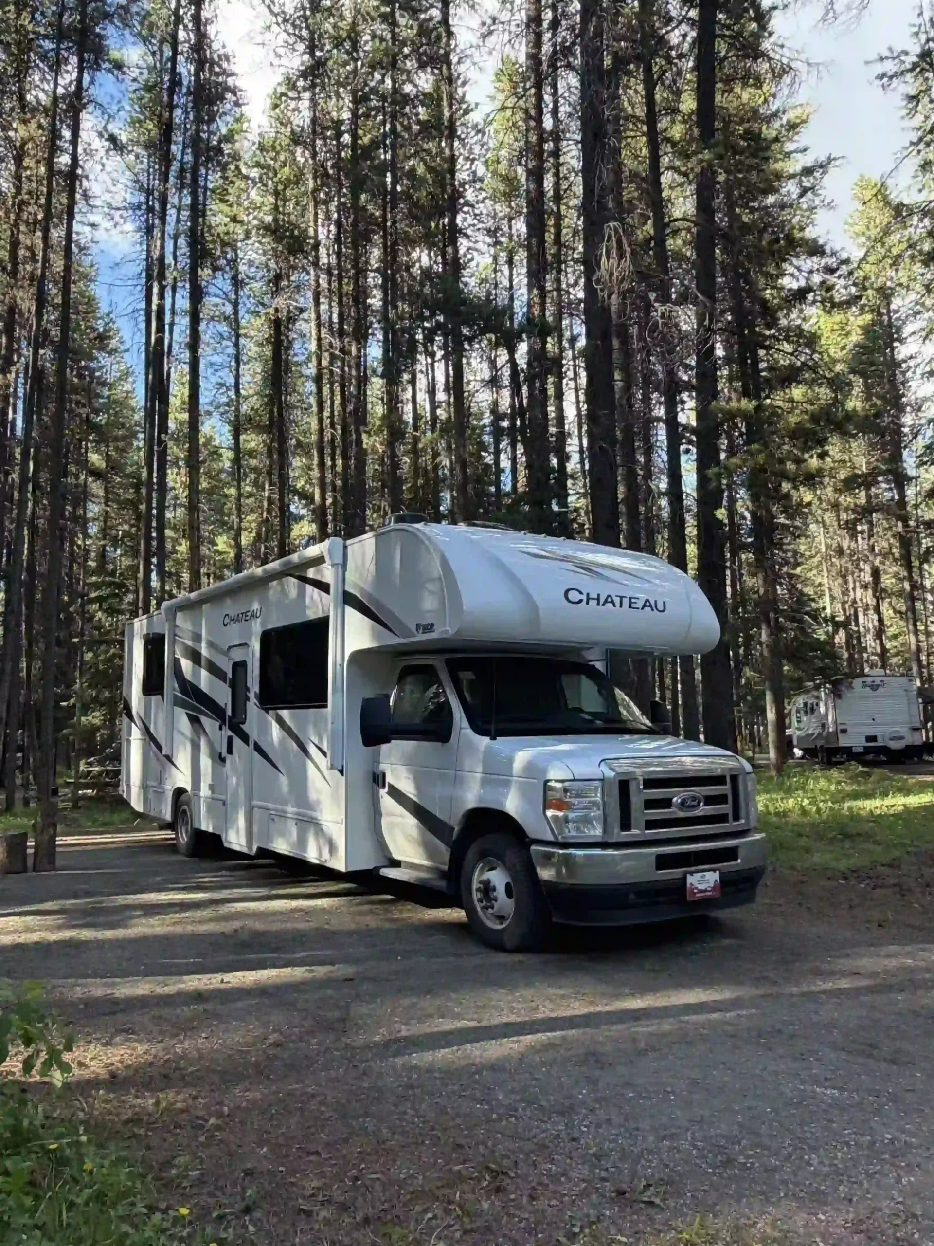 A white motorhome parked at a campsite surrounded by tall pine trees.