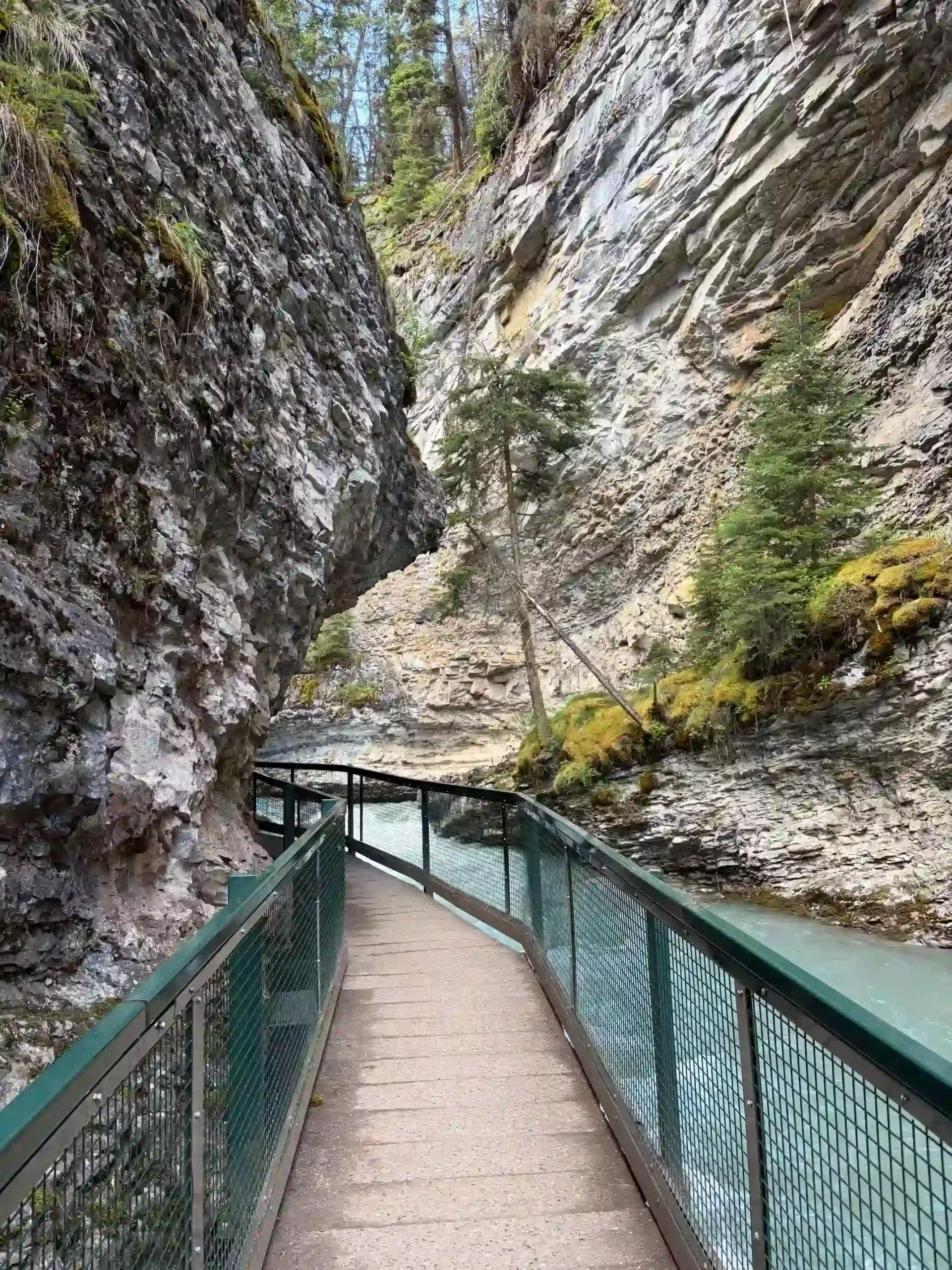 A wooden boardwalk winding between massive, moss-covered rock walls over a flowing turquoise river in a canyon.