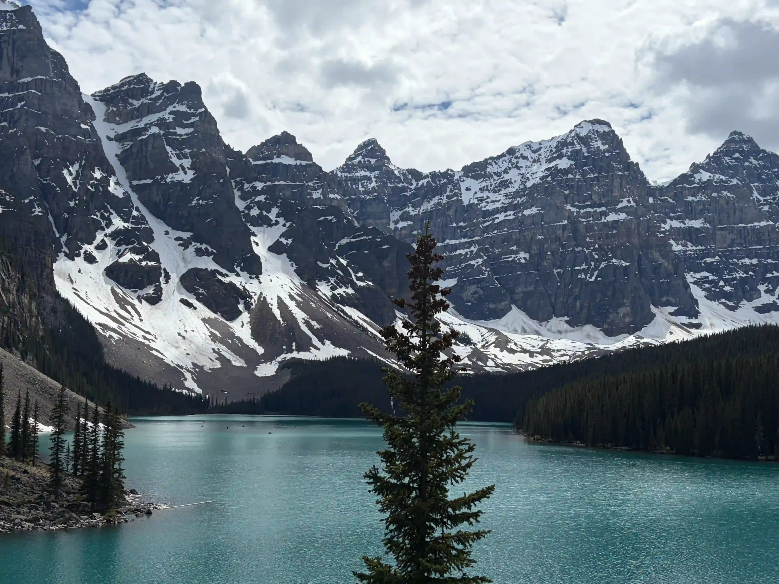 A vibrant turquoise mountain lake framed by a single foreground pine tree and a massive, snow-dusted mountain range.
