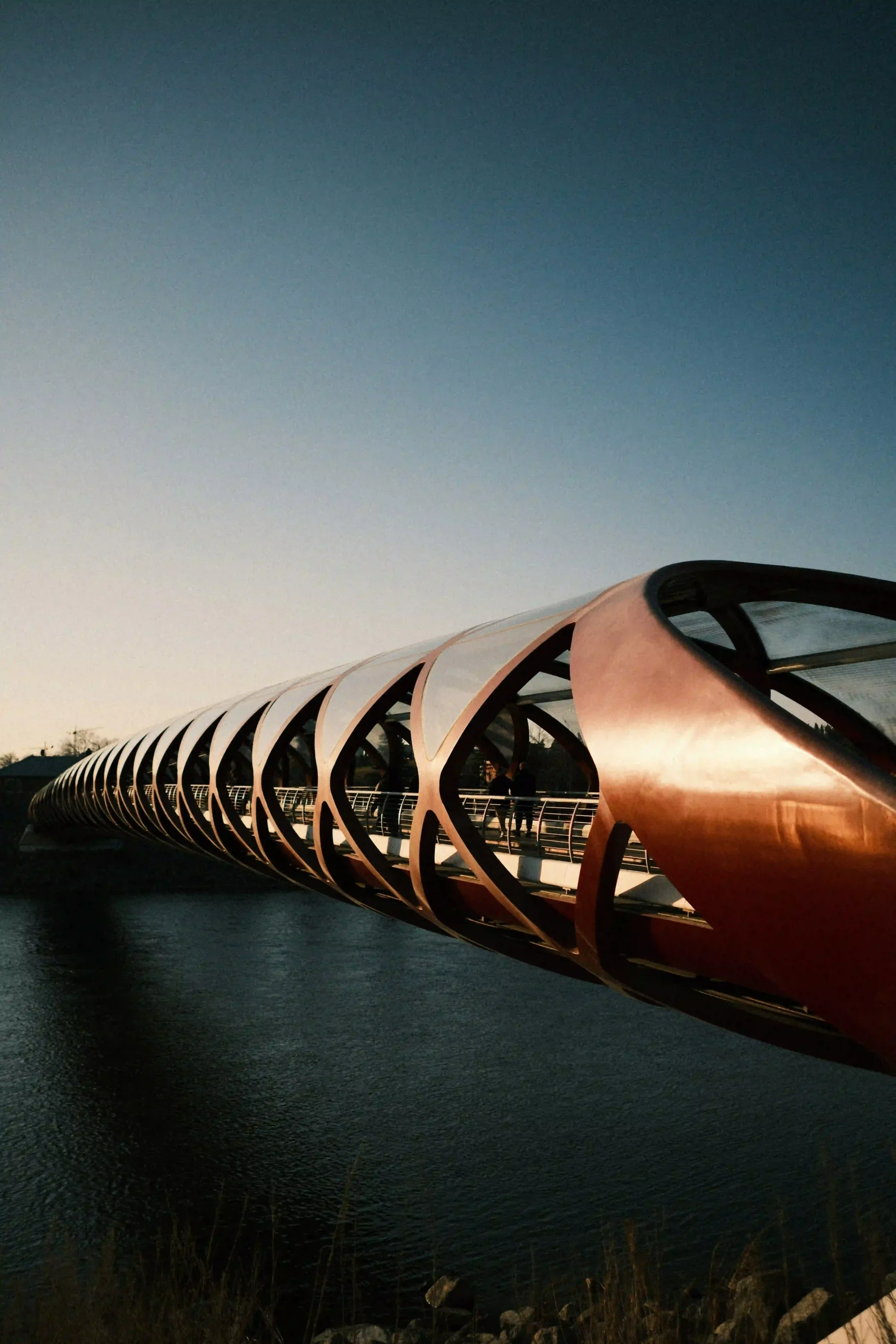 View of the Peace Bridge, as it spans across the dark water of the Bow River under a clear sky.