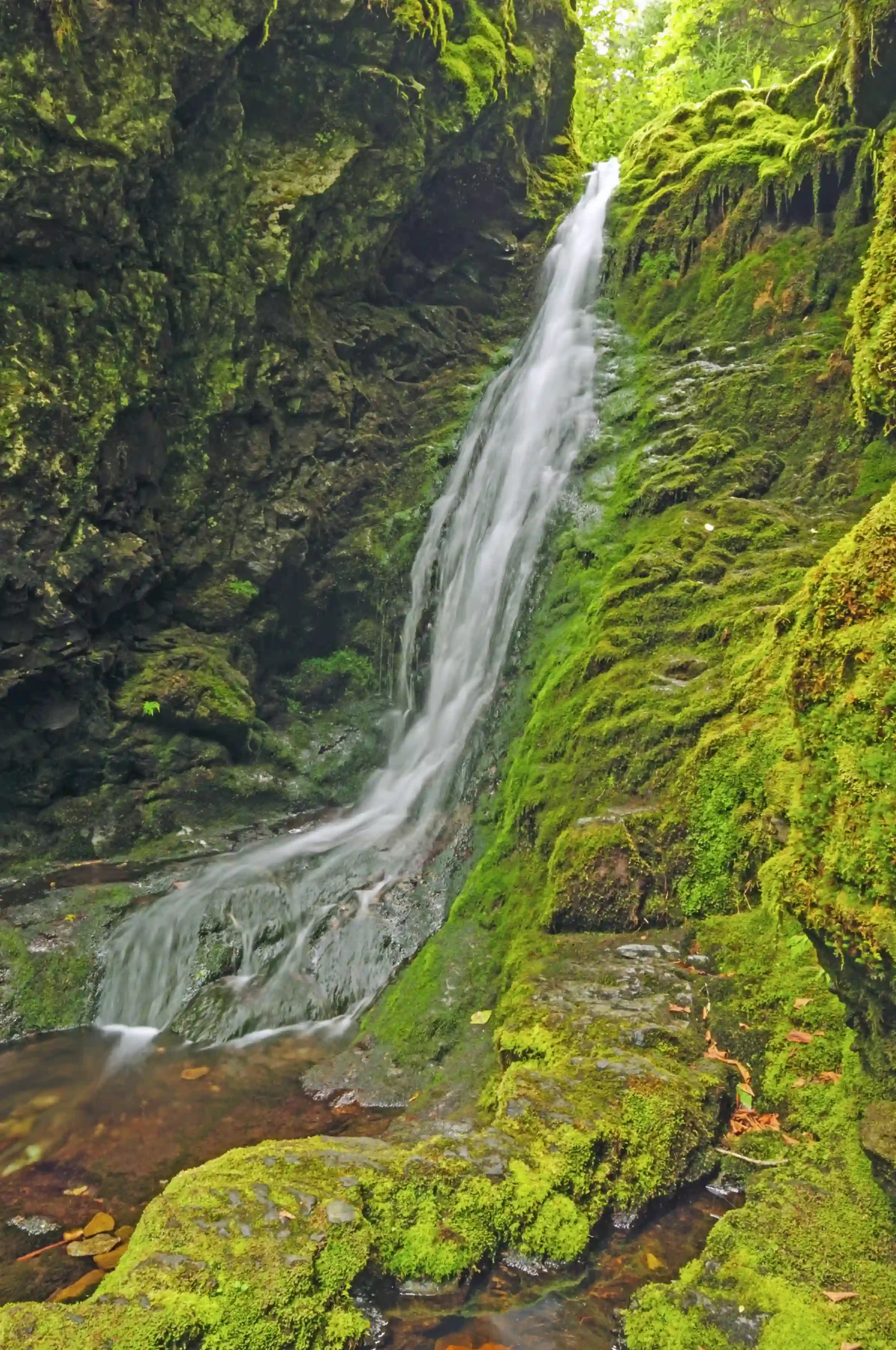 A waterfall cascading down a dark, rocky cliff heavily covered in green moss.