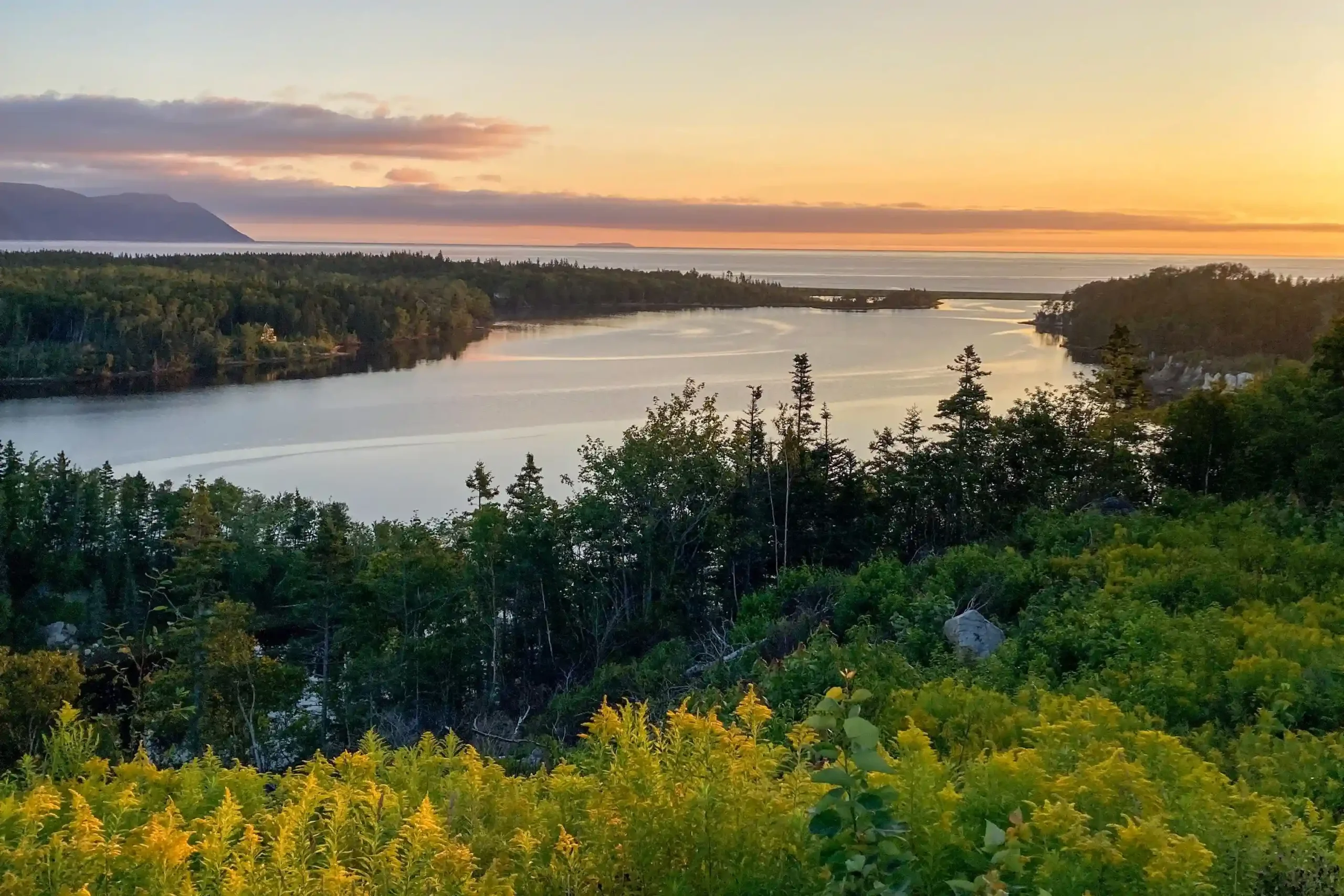 A calm river winding through a dense forest, and a view of the distant ocean under an orange and blue sky.