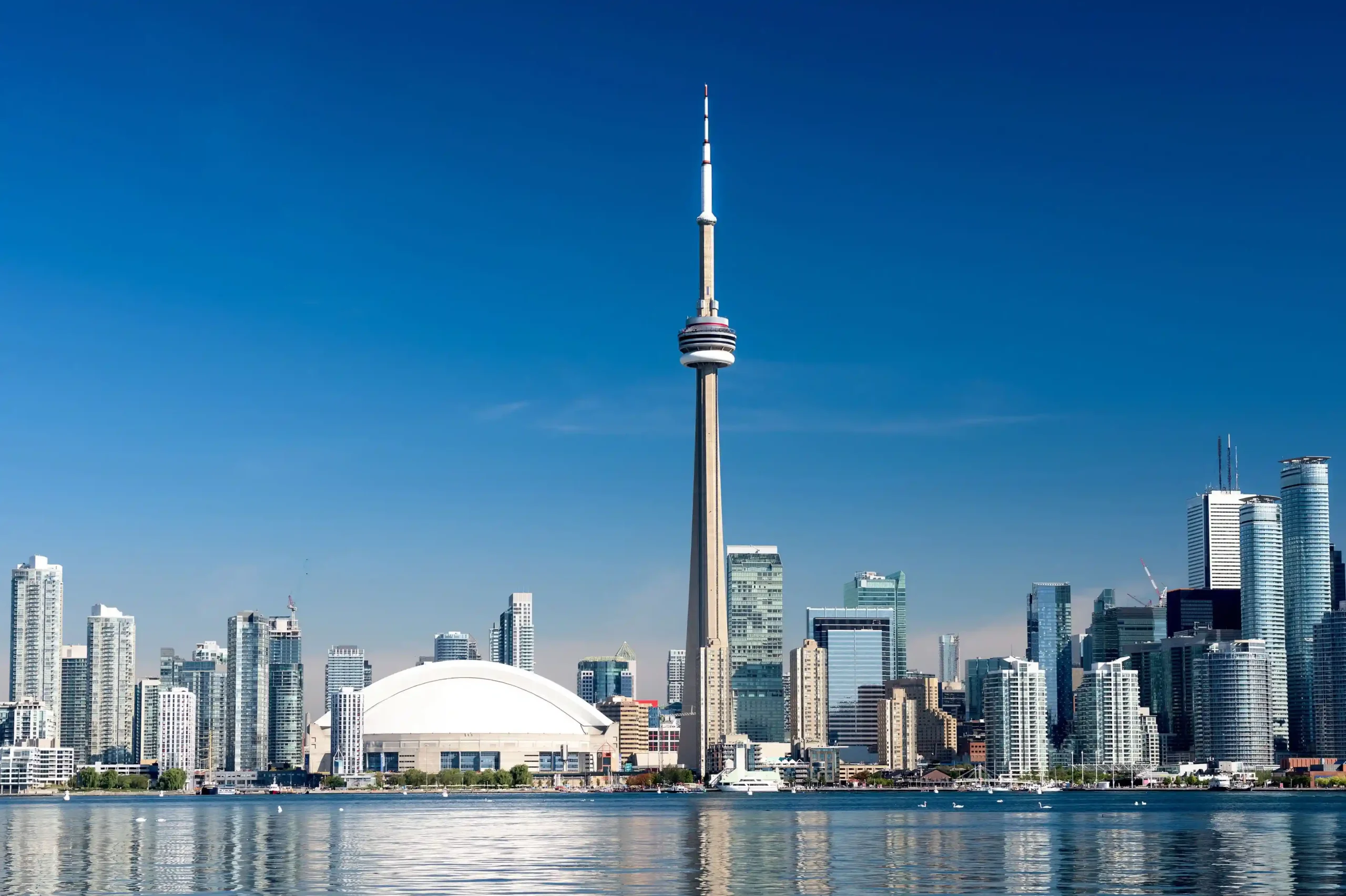 A wide shot of the Toronto city skyline on a clear day, featuring the CN Tower.