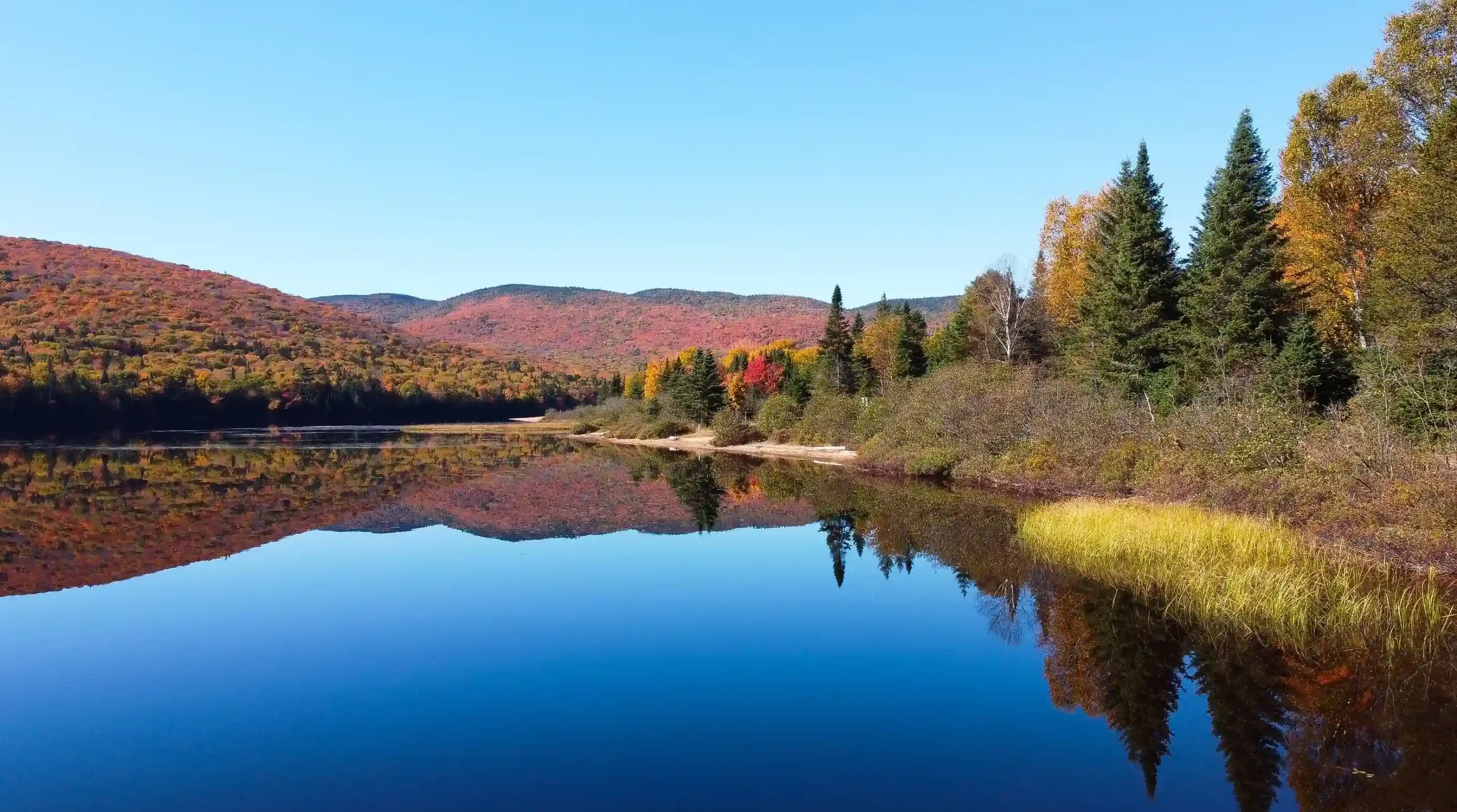 A calm lake reflecting a forest of vibrant red, orange, and yellow autumn trees under a clear blue sky.