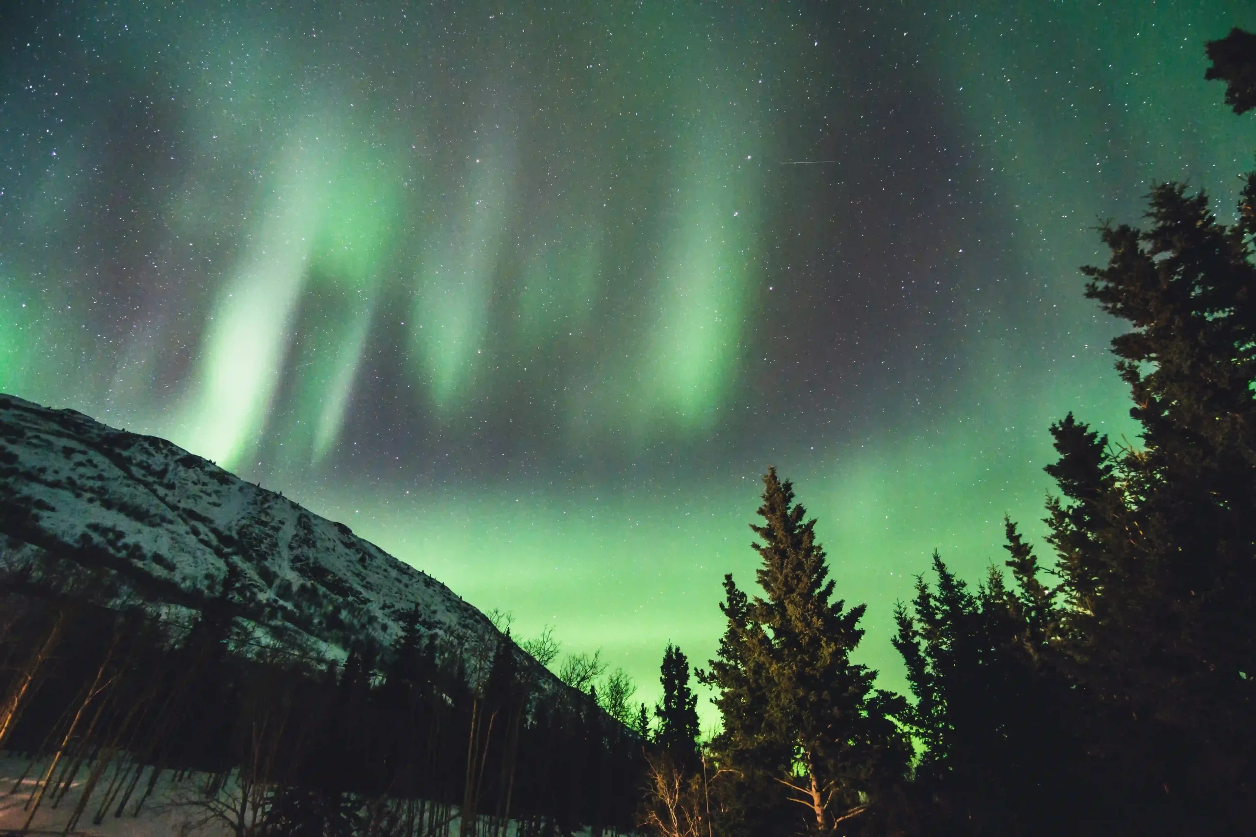 A night sky filled with vibrant green aurora borealis dancing above a dark, snow-dusted mountain and a silhouette of tall pine trees.