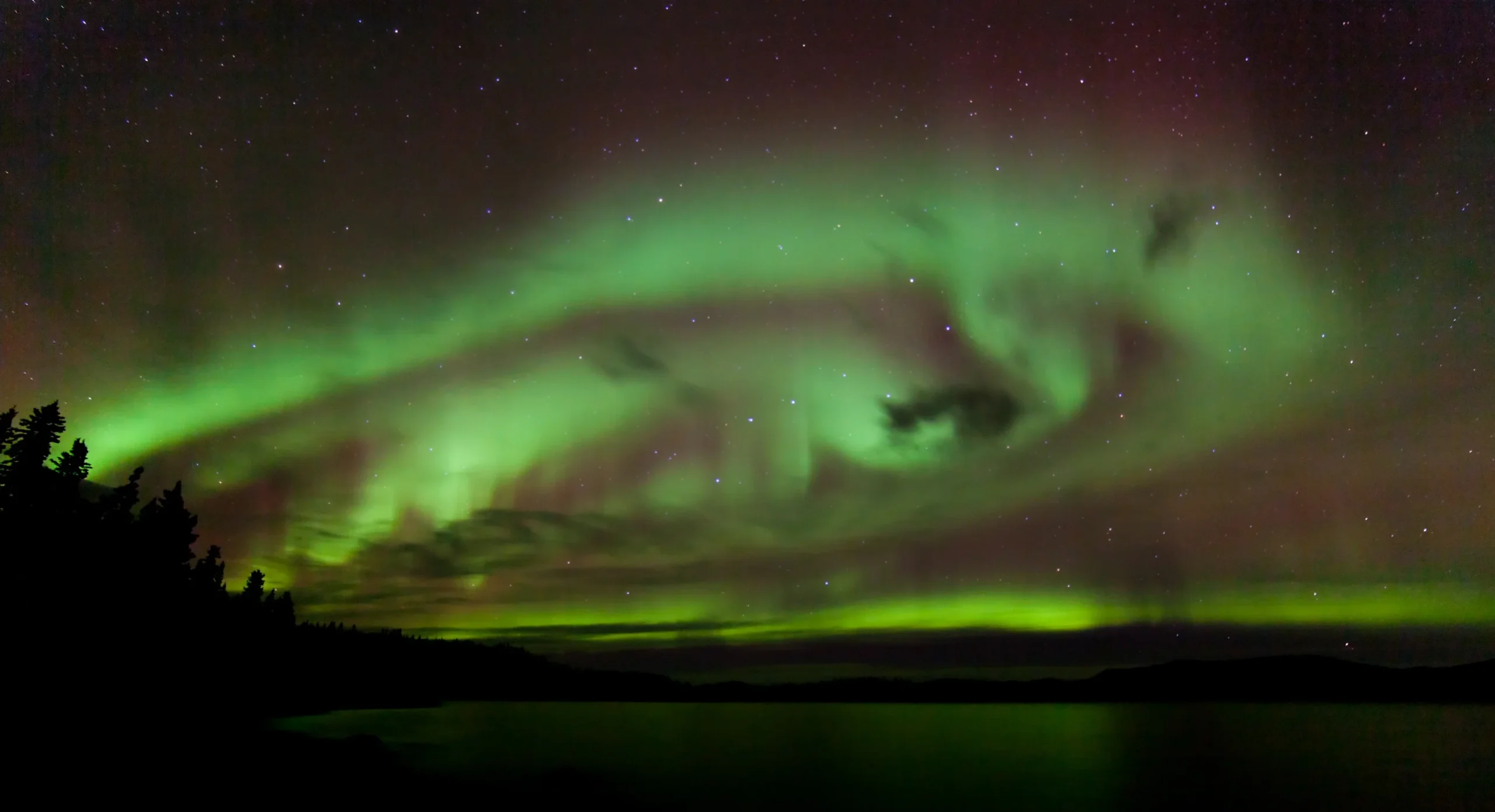 A vibrant display of green and purple Northern Lights swirling across a starry night sky.