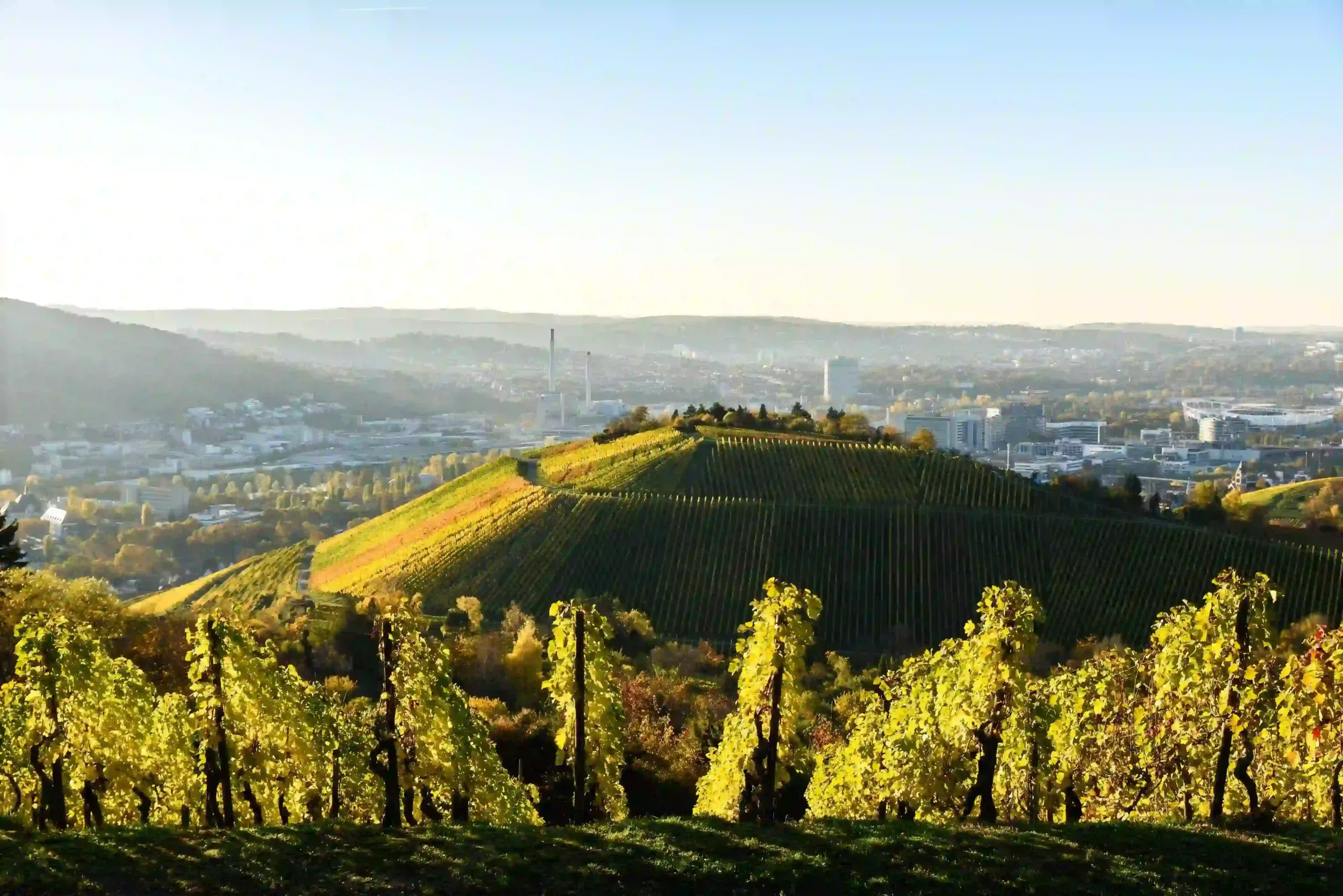 Elevated view of golden-leaved vineyard slopes surrounding the city of Stuttgart.