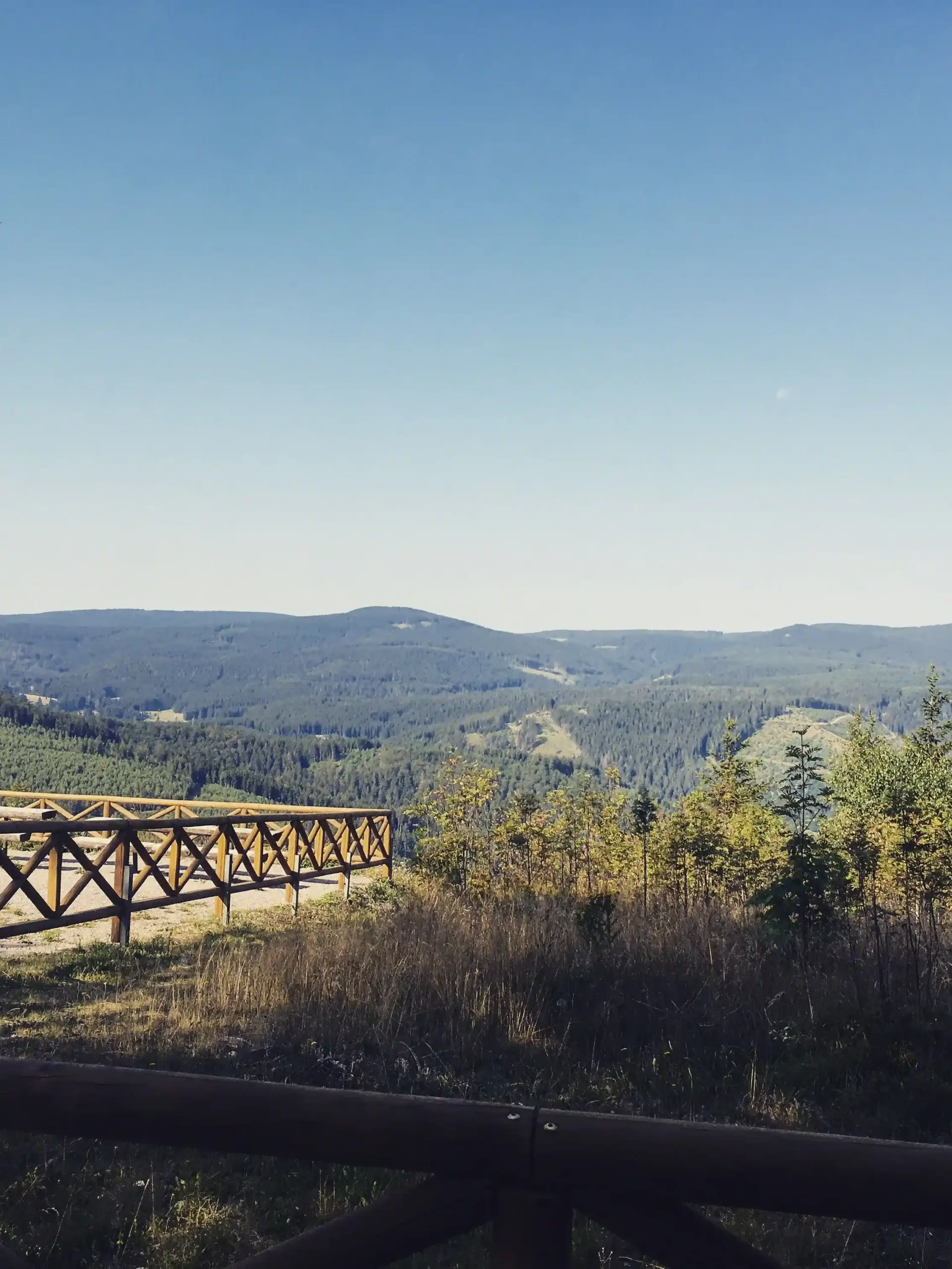 View from a wooden viewpoint railing looking out over expansive, rolling, tree-covered hills of the Thuringian Forest under a clear blue sky.