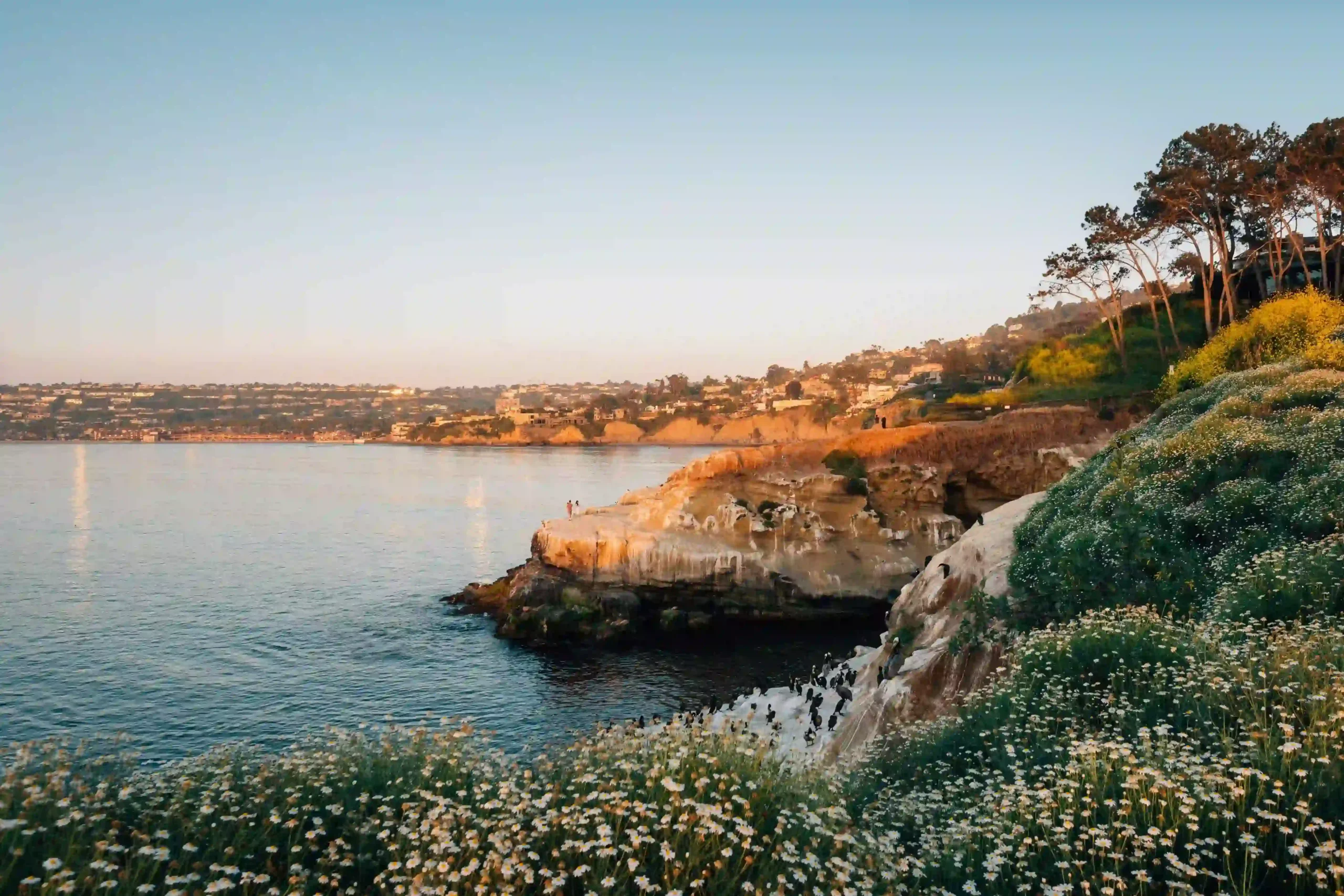 A golden hour view of the sandstone cliffs and sea caves at La Jolla Cove in San Diego.