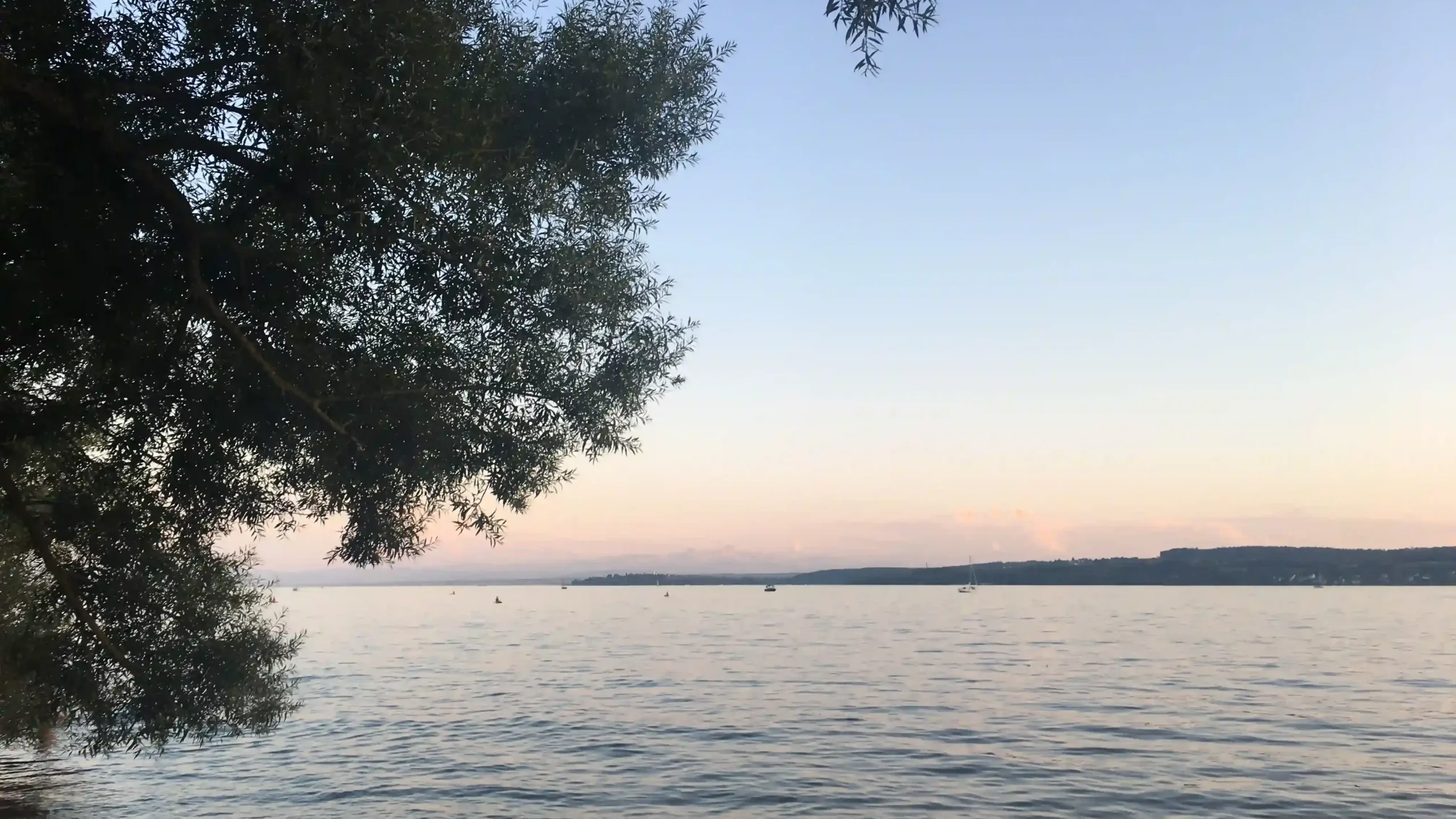View of Lake Constance at sunset, with a large leafy tree branch framing the top left corner and distant sailboats on the calm water under a pale pink and blue sky.