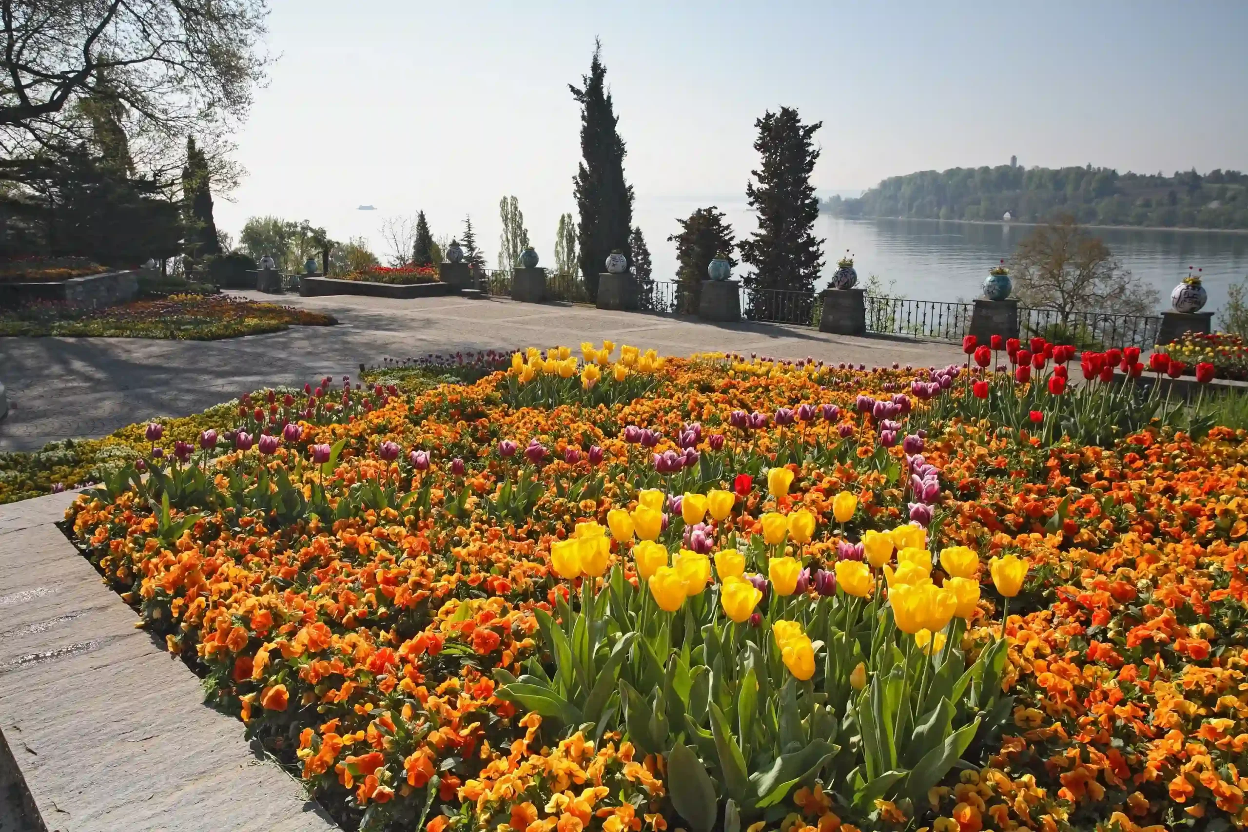 Vibrant flower beds of yellow tulips and orange pansies on a stone terrace at Mainau Island, overlooking the calm blue waters of Lake Constance under a clear sky.