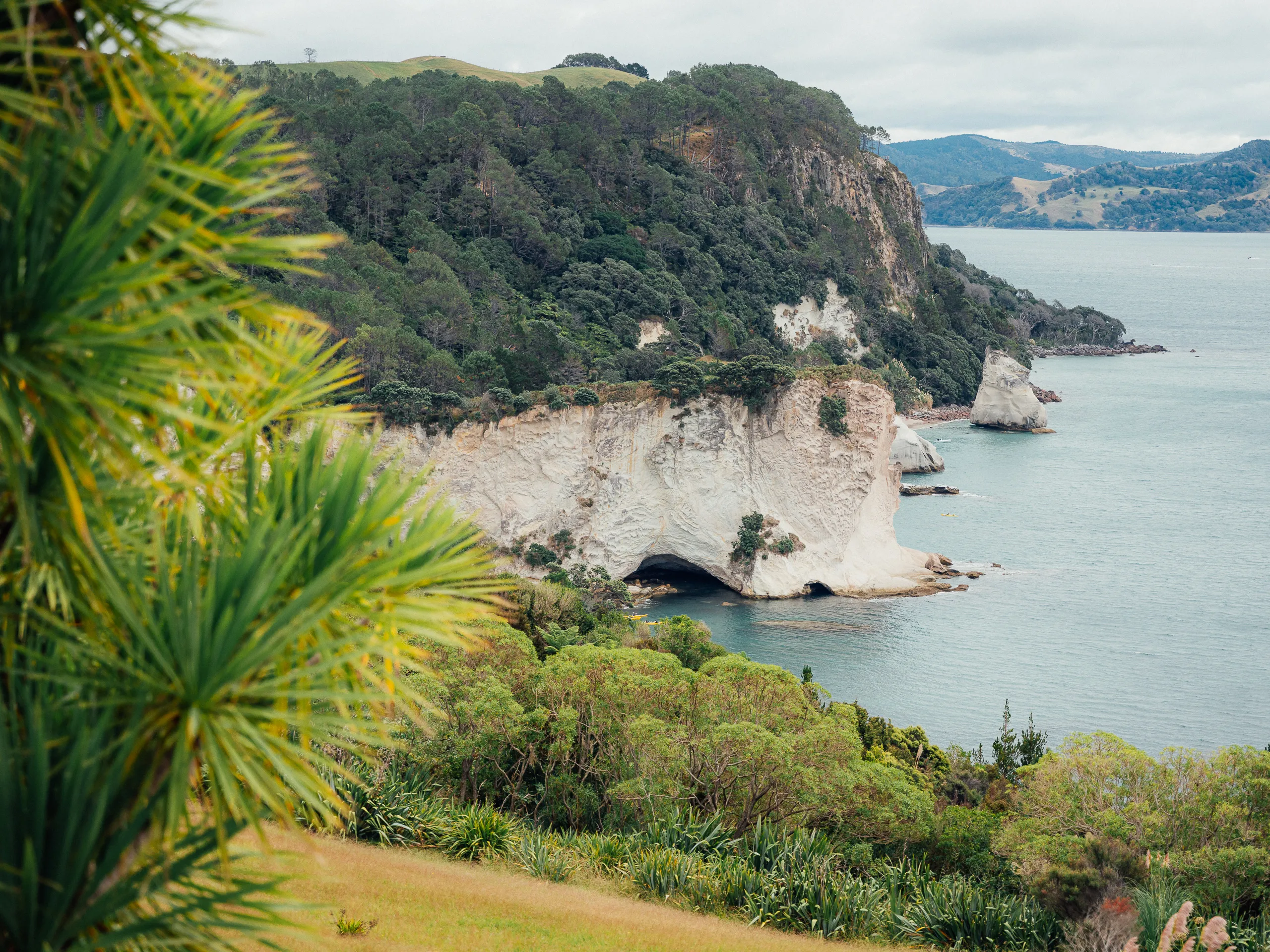 A coastal view of dramatic white limestone cliffs and a sea cave opening into blue water, framed by tropical plants.