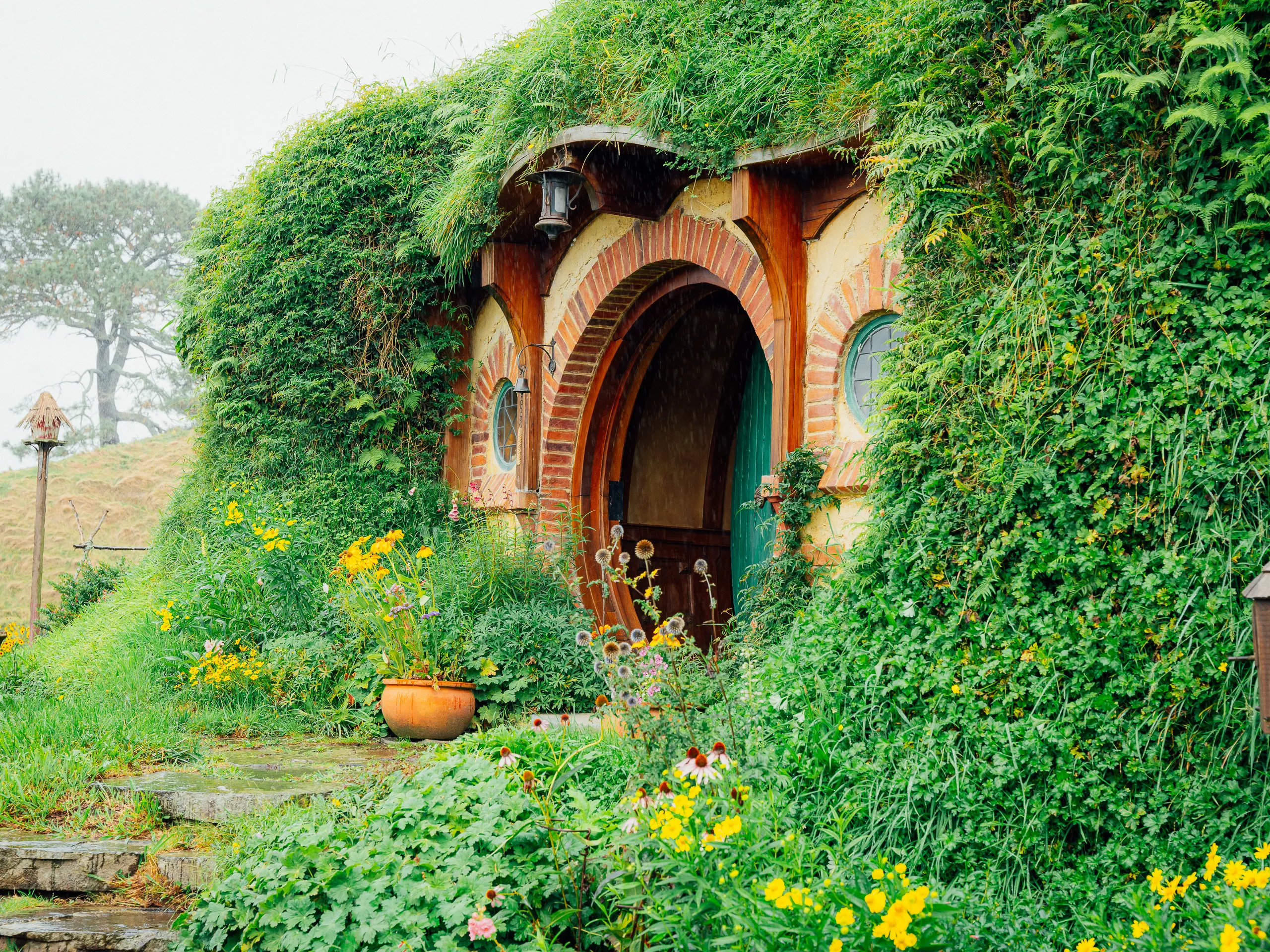 A close-up of a circular green wooden door built into a grassy hillside, surrounded by vibrant yellow flowers and lush ivy.