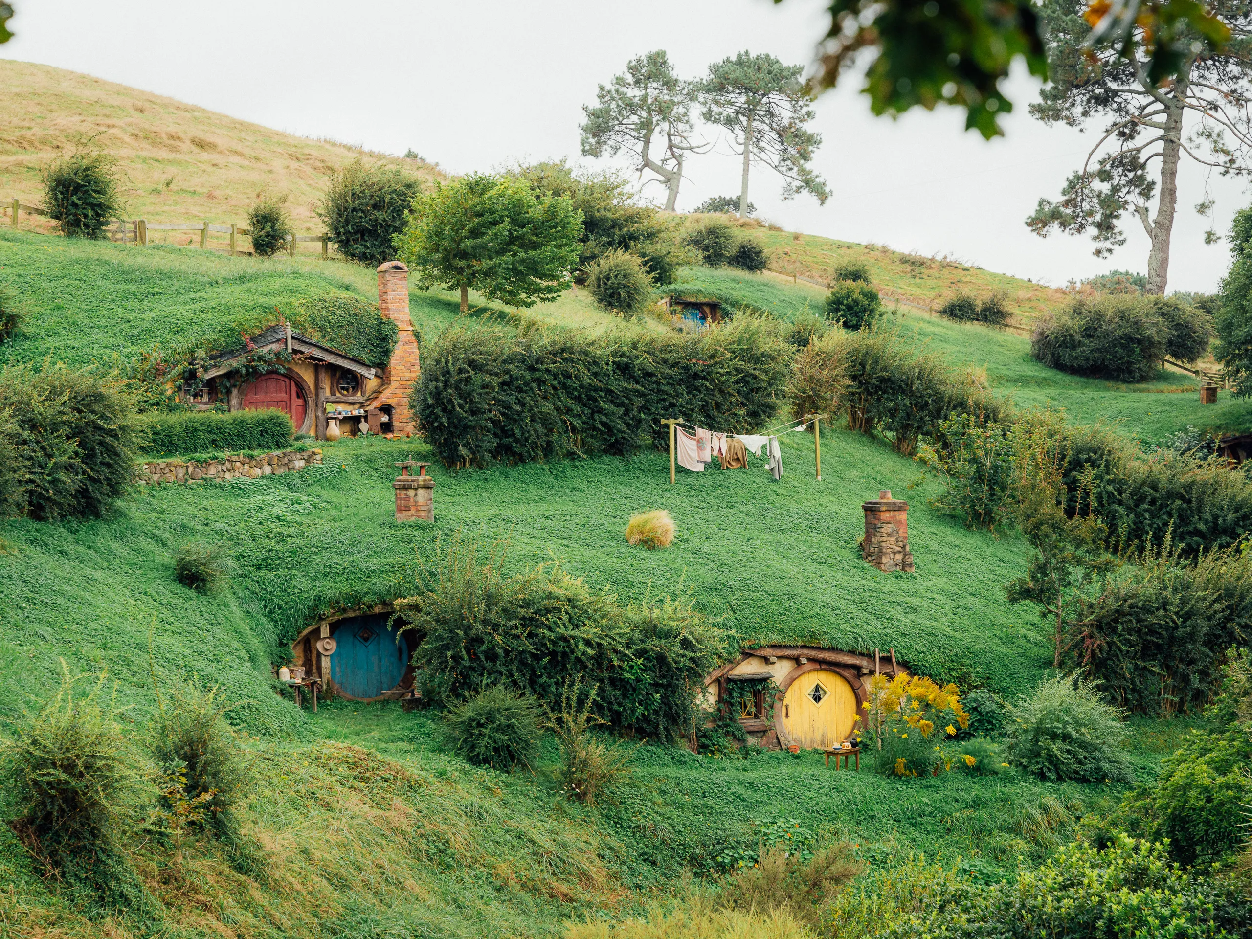 A scenic view of a rolling green hill containing multiple Hobbit holes with colorful round doors.