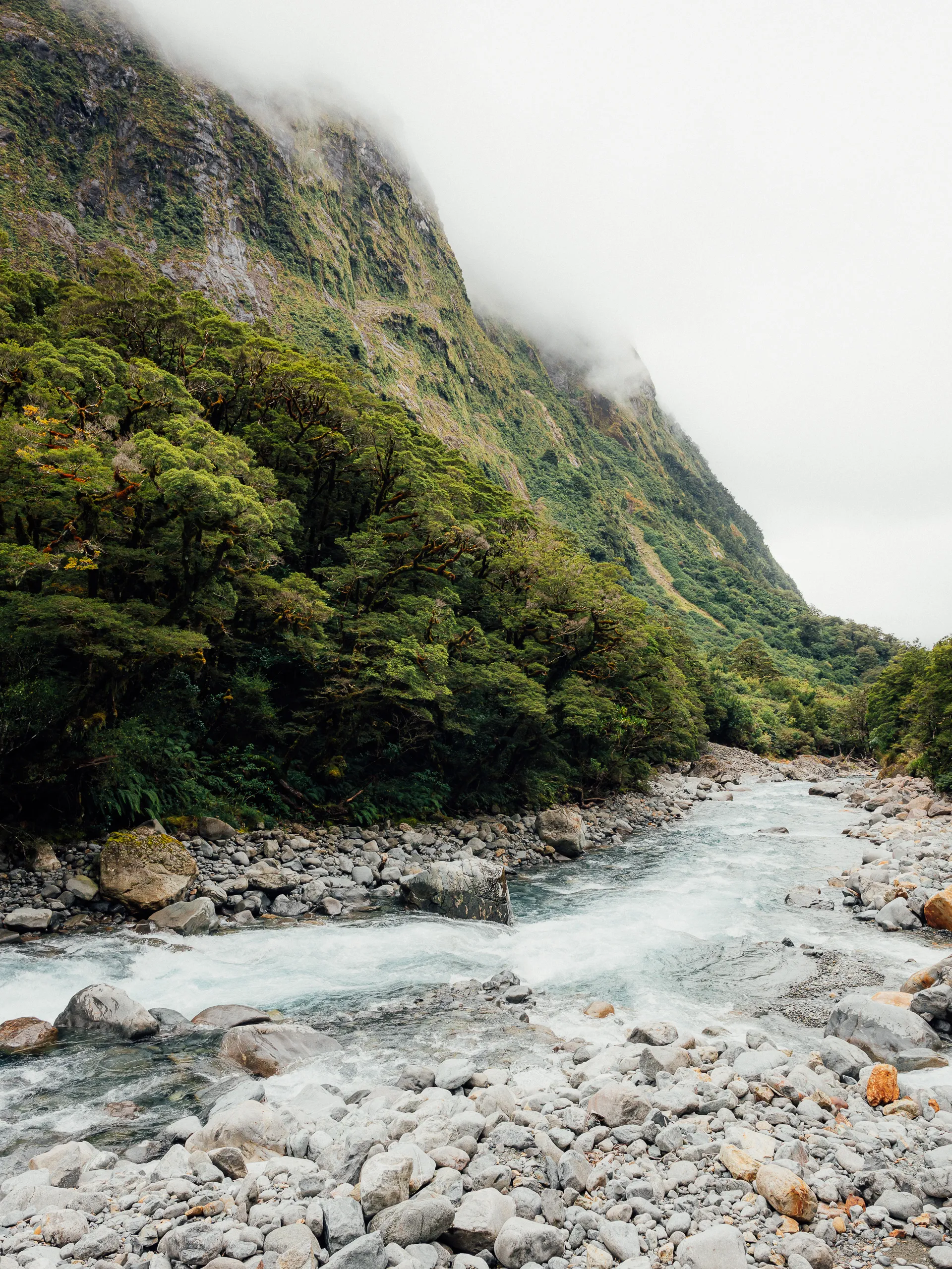 A rocky, turquoise river flows through a valley in Fiordland. On the left, a steep mountain covered in lush green forest rises into thick white mist.