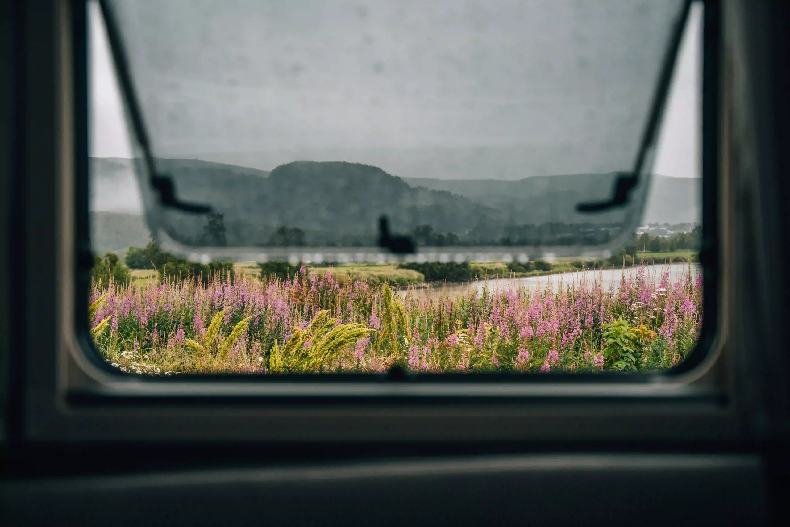 A view through an open campervan window looking out onto a field of purple wildflowers.