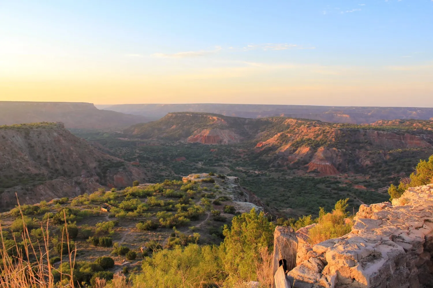 A scenic view of Palo Duro Canyon in Texas at sunset, with golden light illuminating the green ridges and red rock cliffs.