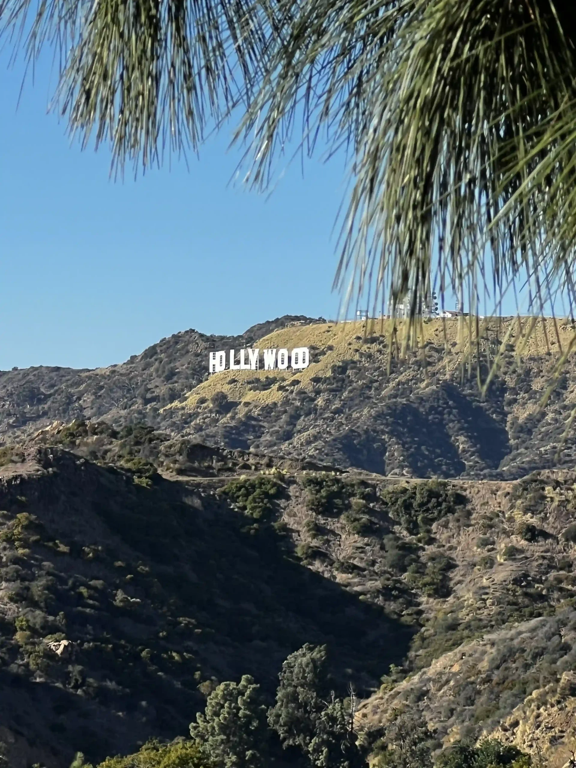 A distant view of the famous white Hollywood Sign.