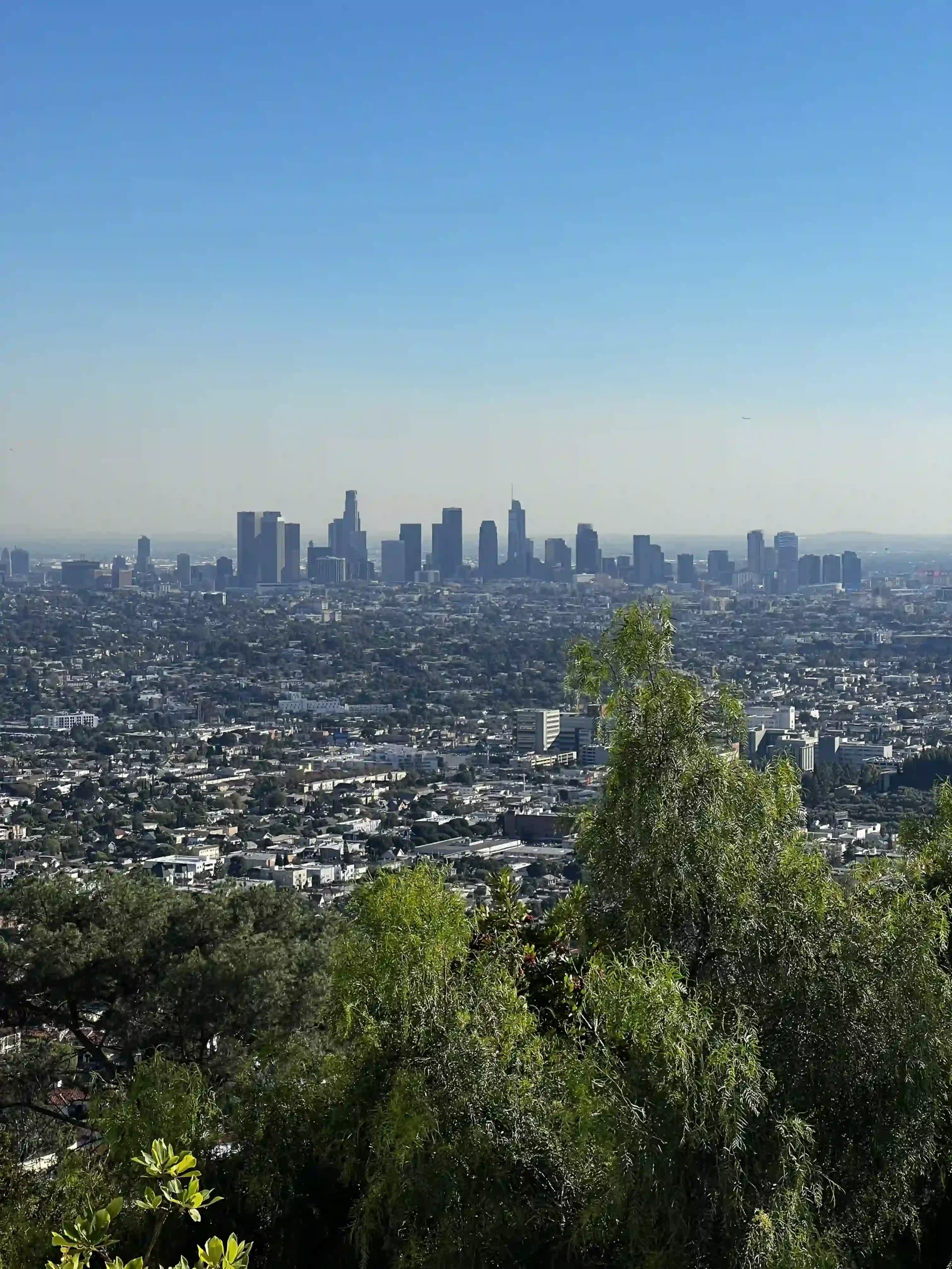 Panoramic view of the Los Angeles skyline under a clear blue sky with a layer of morning haze. Green trees and dense hillside foliage frame the bottom part of the shot.