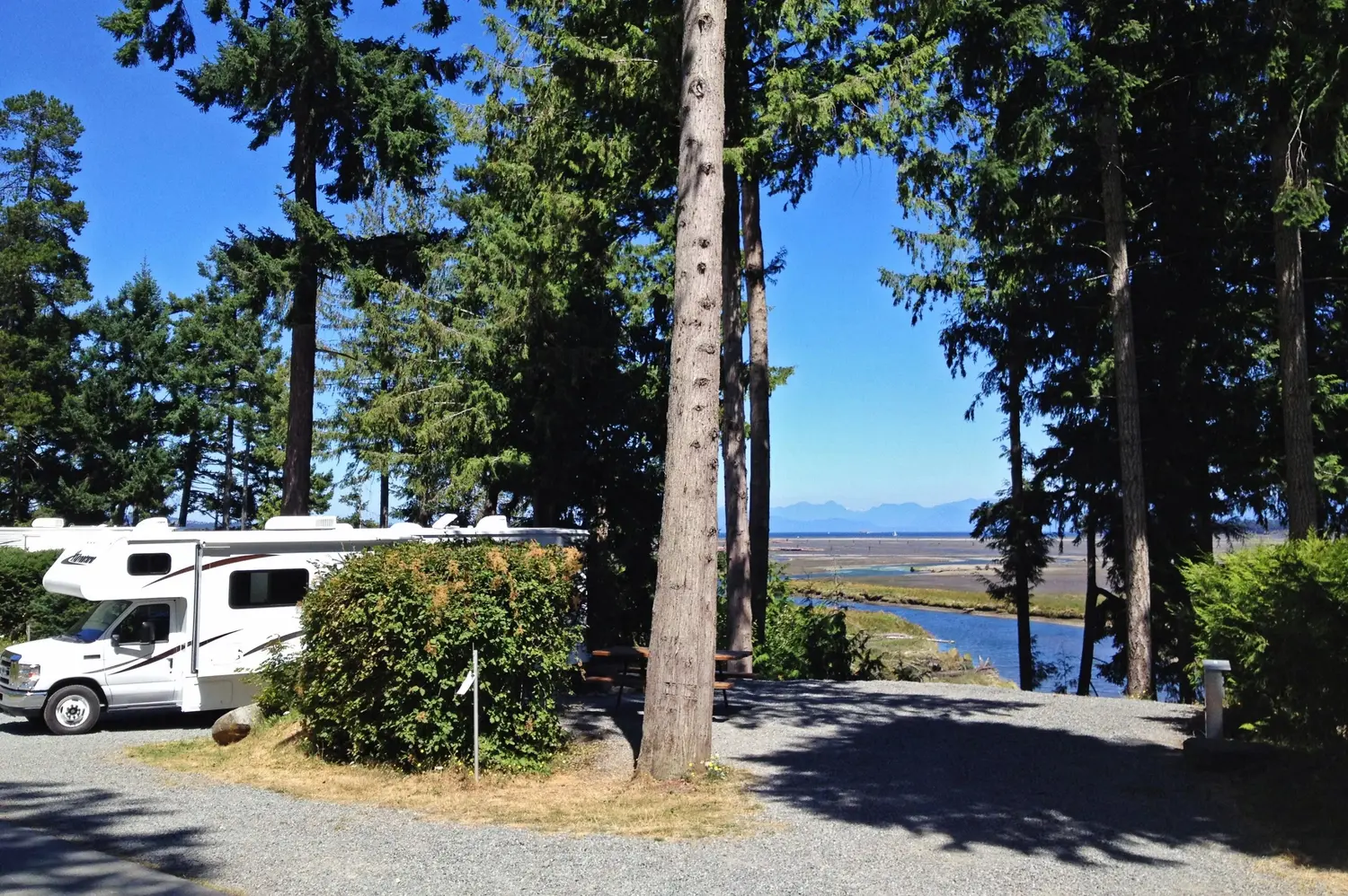 Campervans parked among trees at Living Forest Oceanside Campground, overlooking the water.