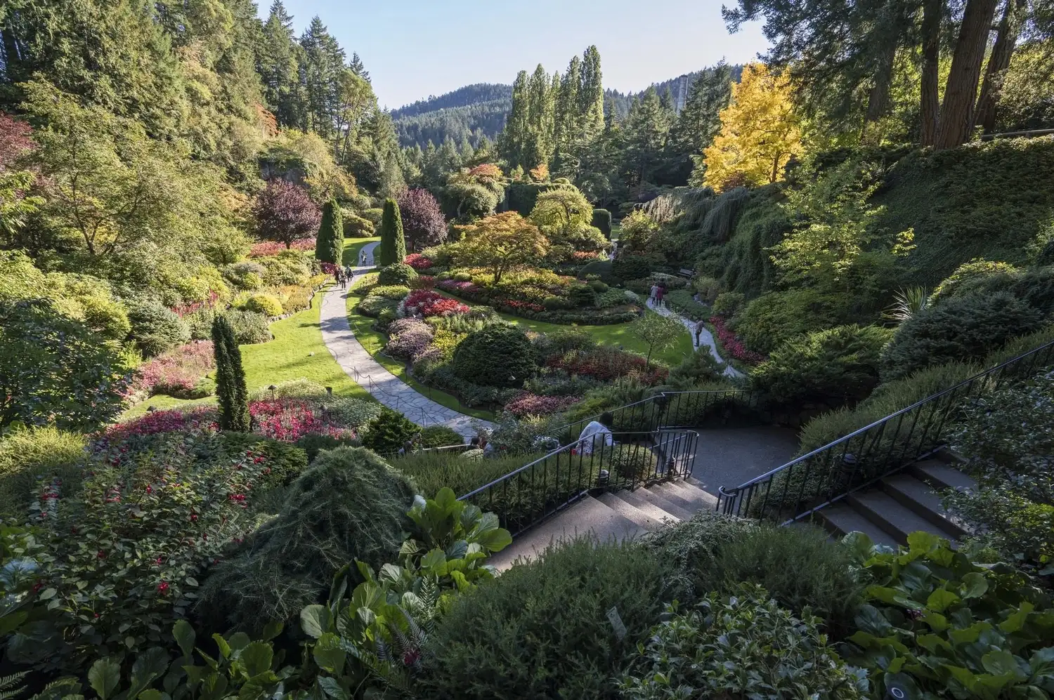 Lush trails and vibrant flowers at Butchart Gardens.