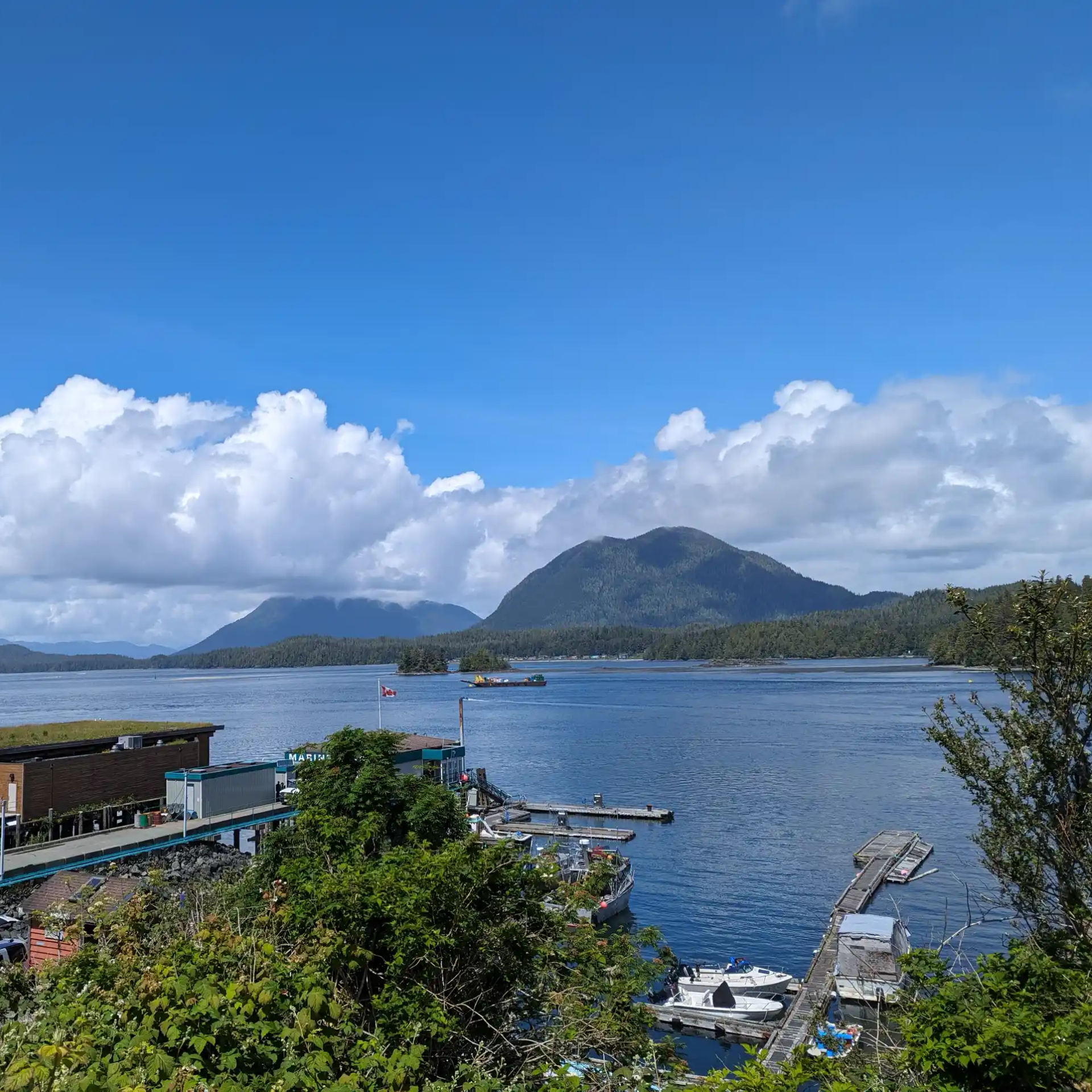 Petit port avec quelques bateaux et des montagnes en arrière-plan à Tofino, sur l\'île de Vancouver en Colombie britannique