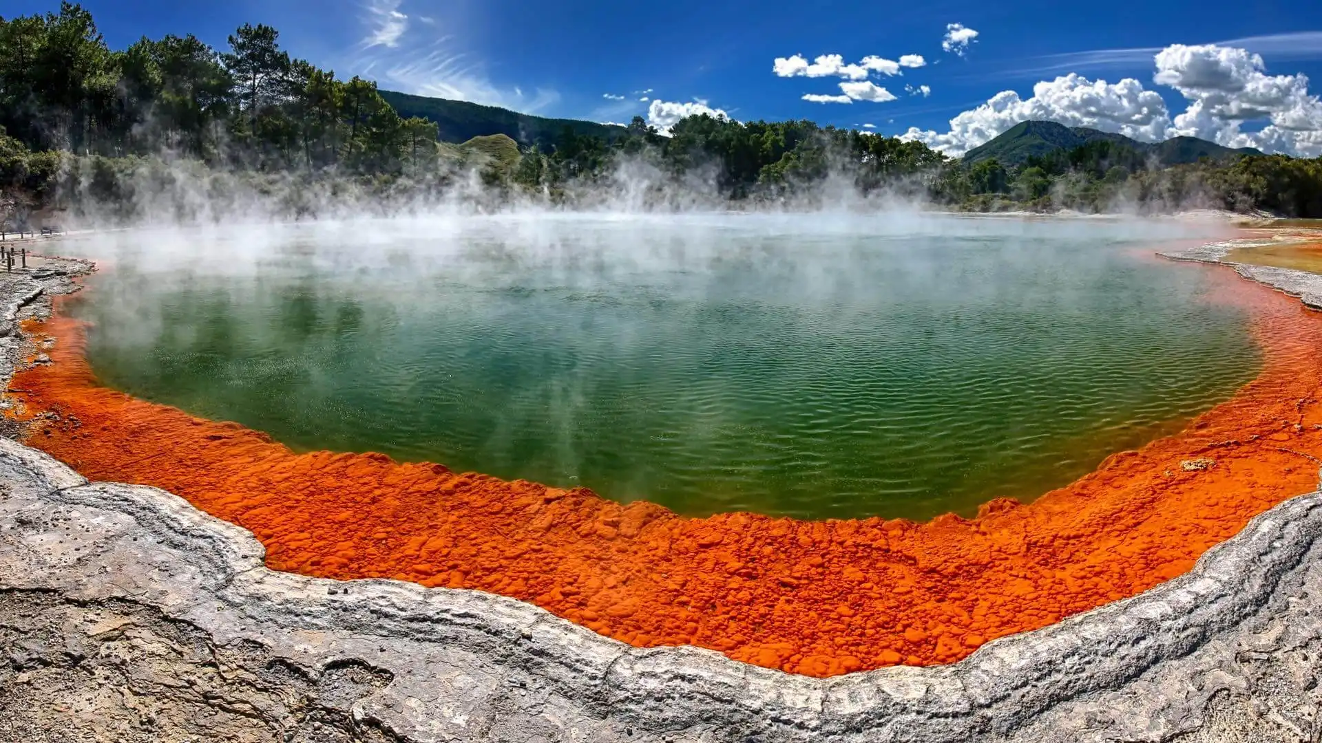 Le Champagne Pool dans le site géothermique de Wai-O-Tapu en Nouvelle Zélande avec de la brume au-dessus du bassin
